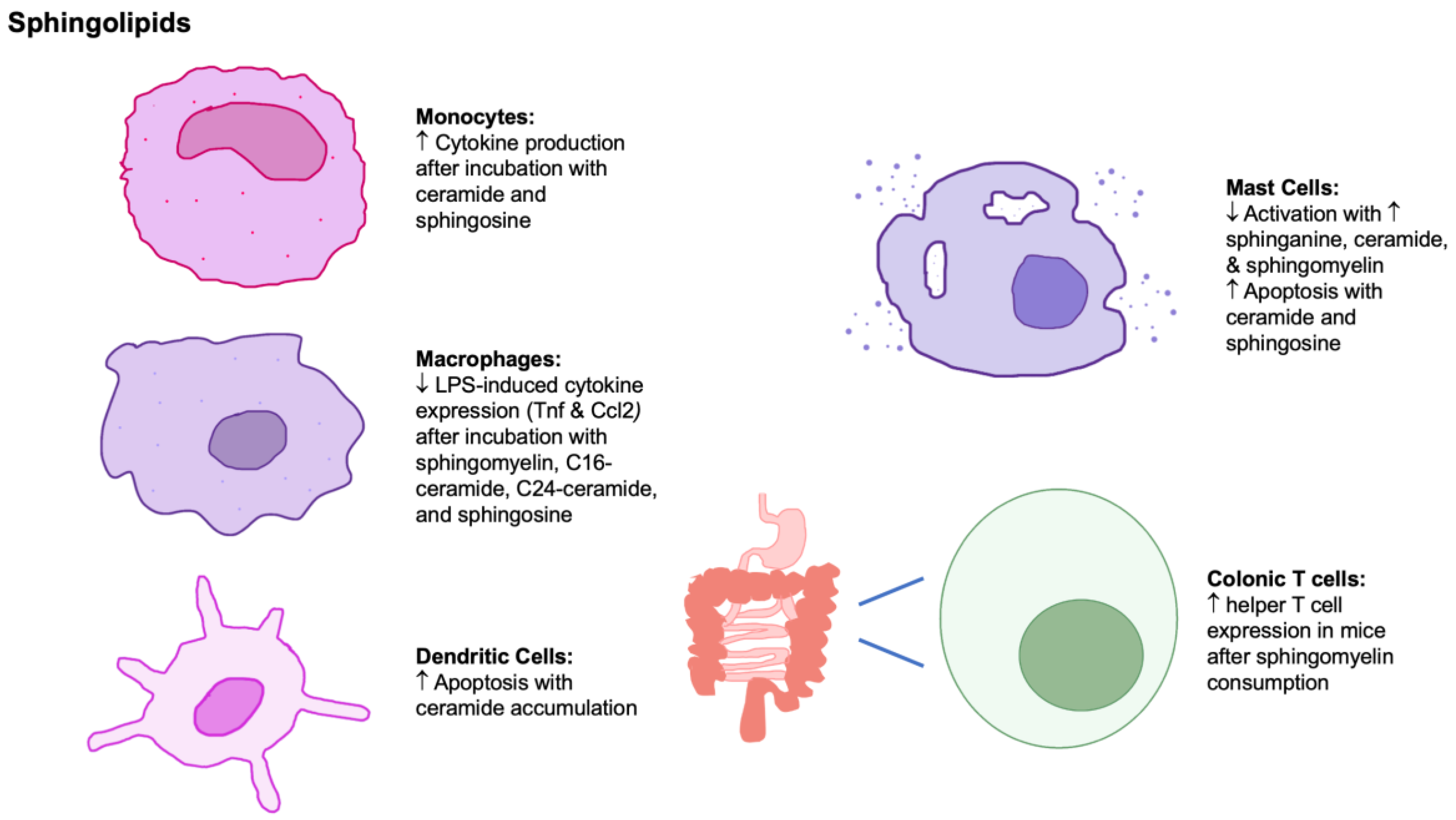 Nutrients 15 03899 g003