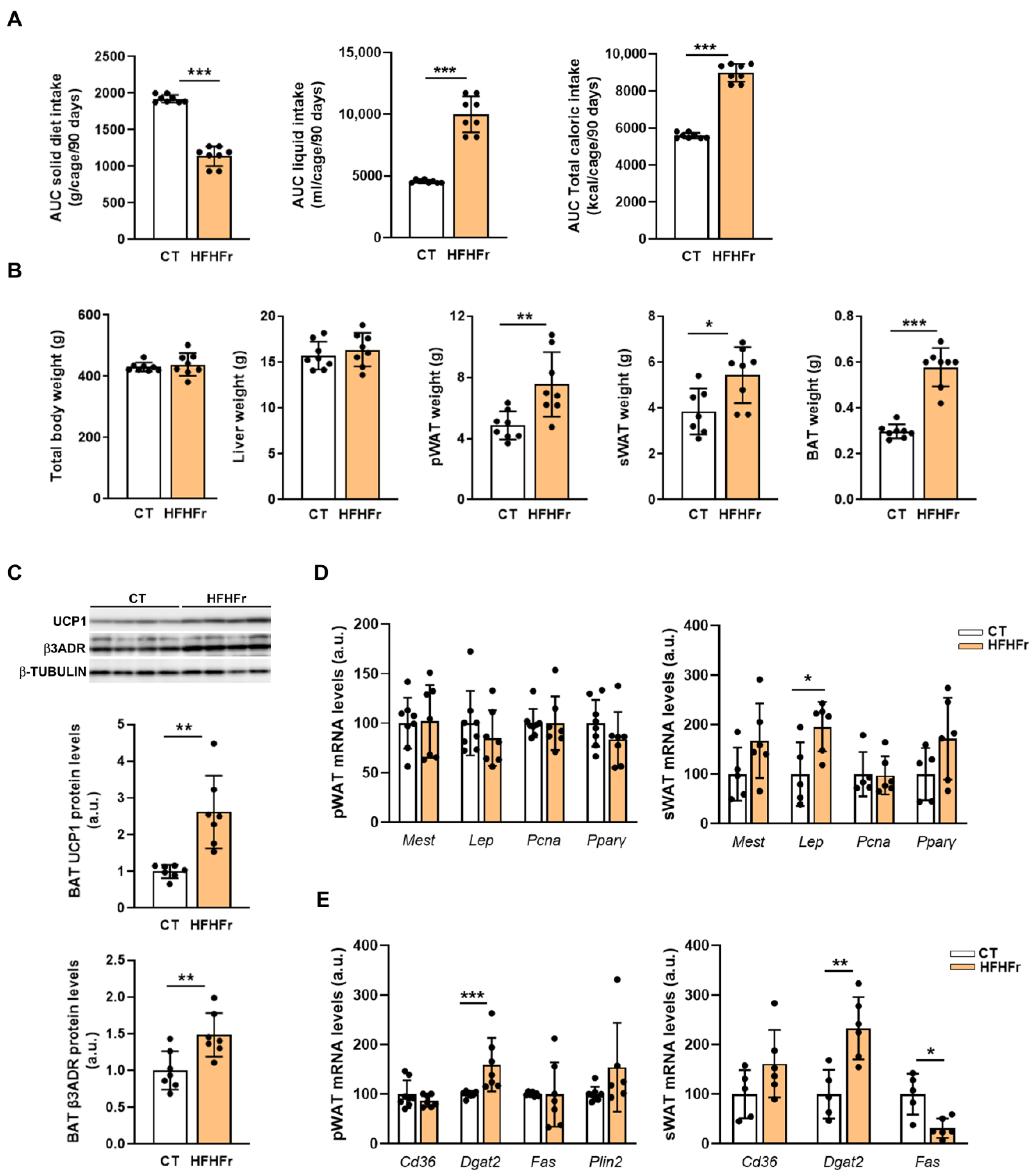Nutrients 15 03909 g001 Nutrients 15 03909 g001