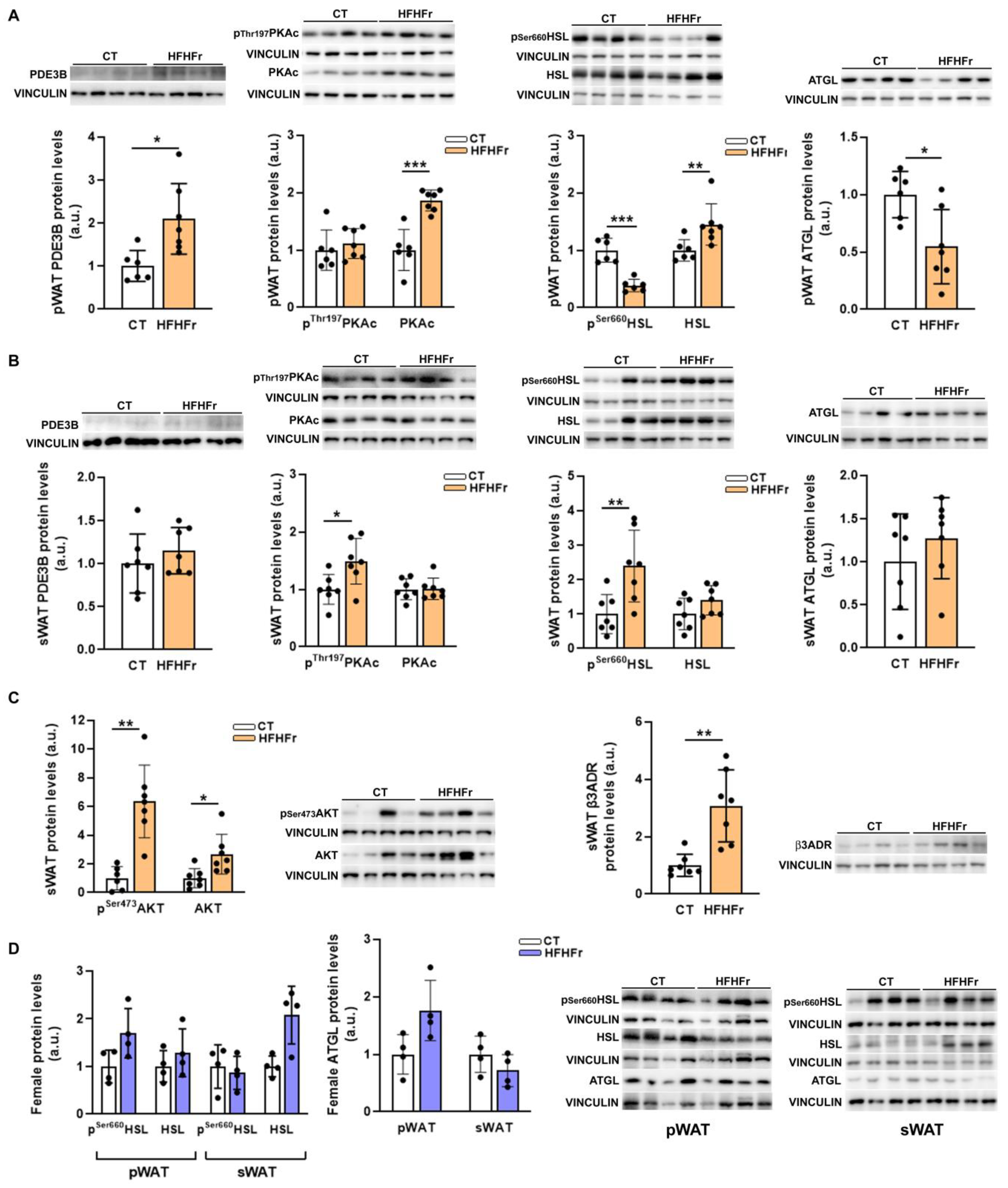 Nutrients 15 03909 g006 Nutrients 15 03909 g006