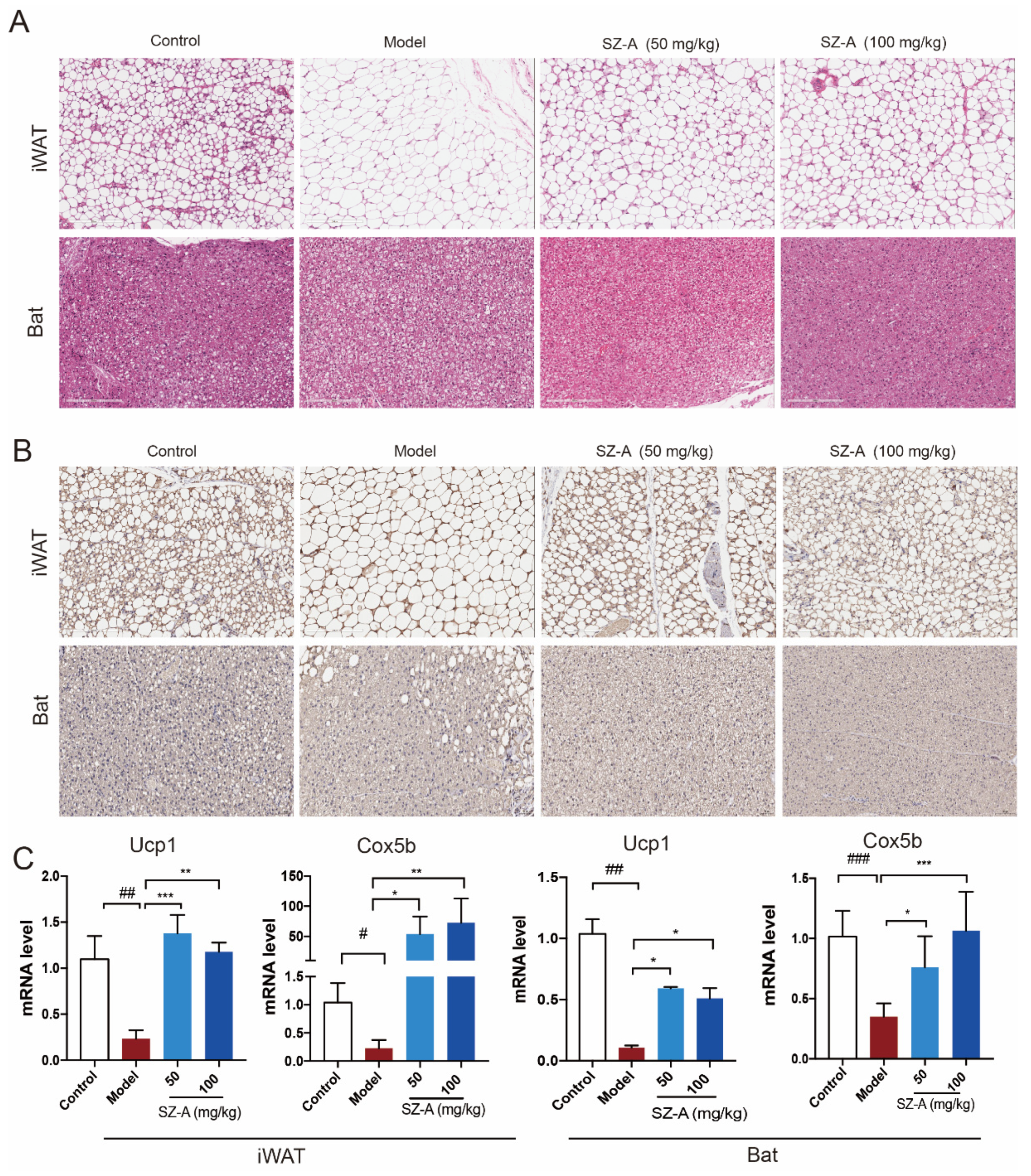 Nutrients 15 03914 g003
