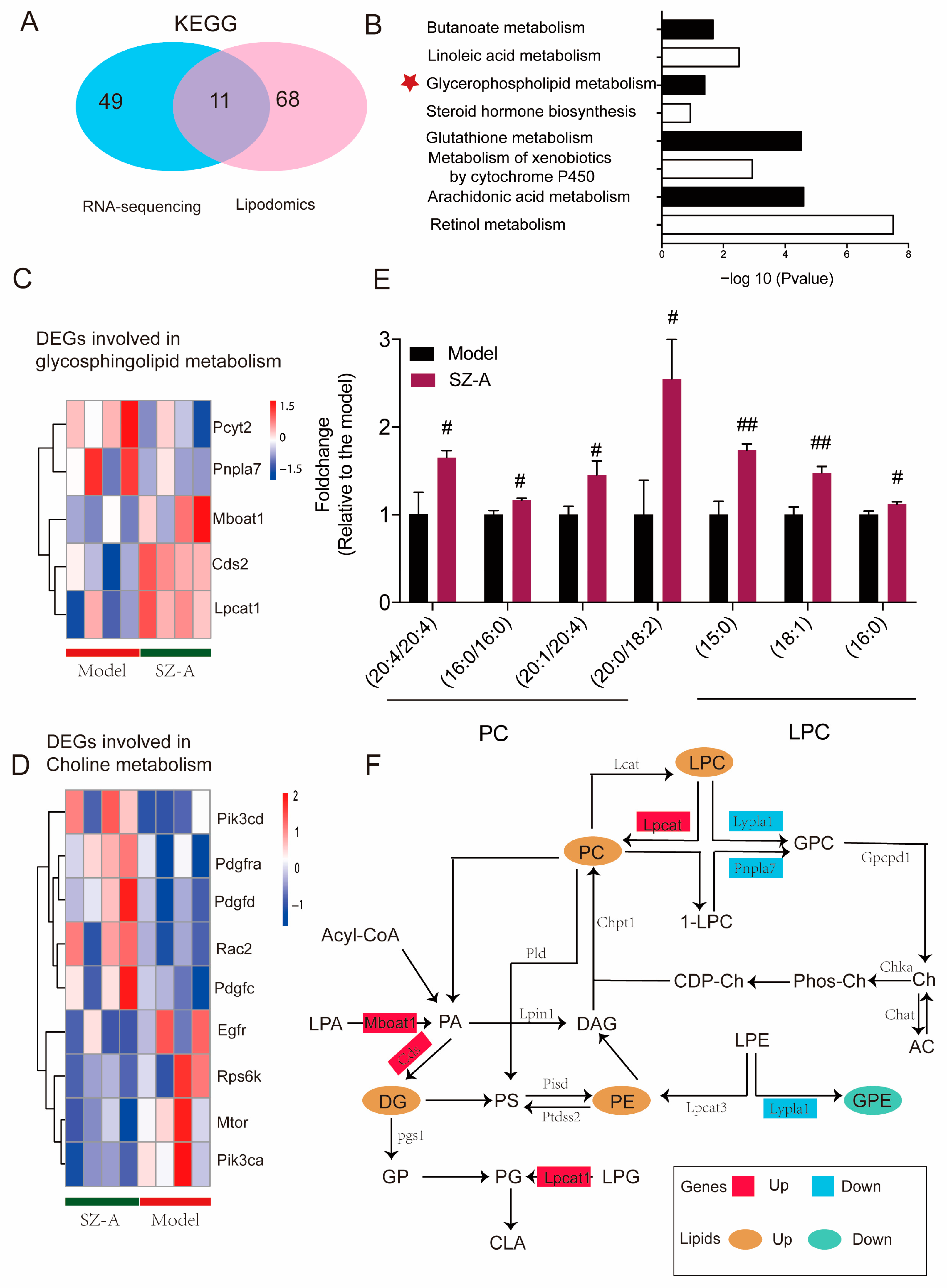 Nutrients 15 03914 g007