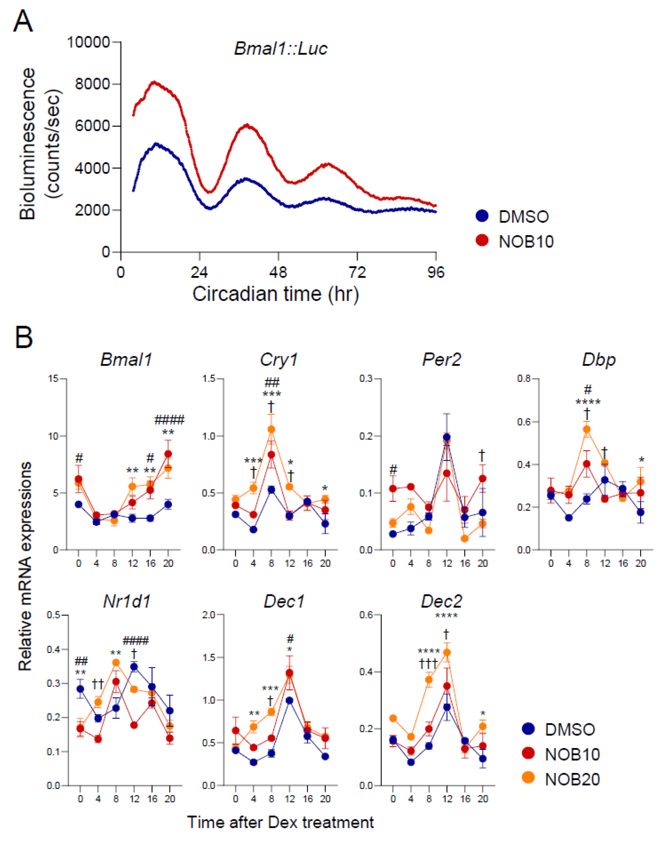 Nutrients 15 03919 g001