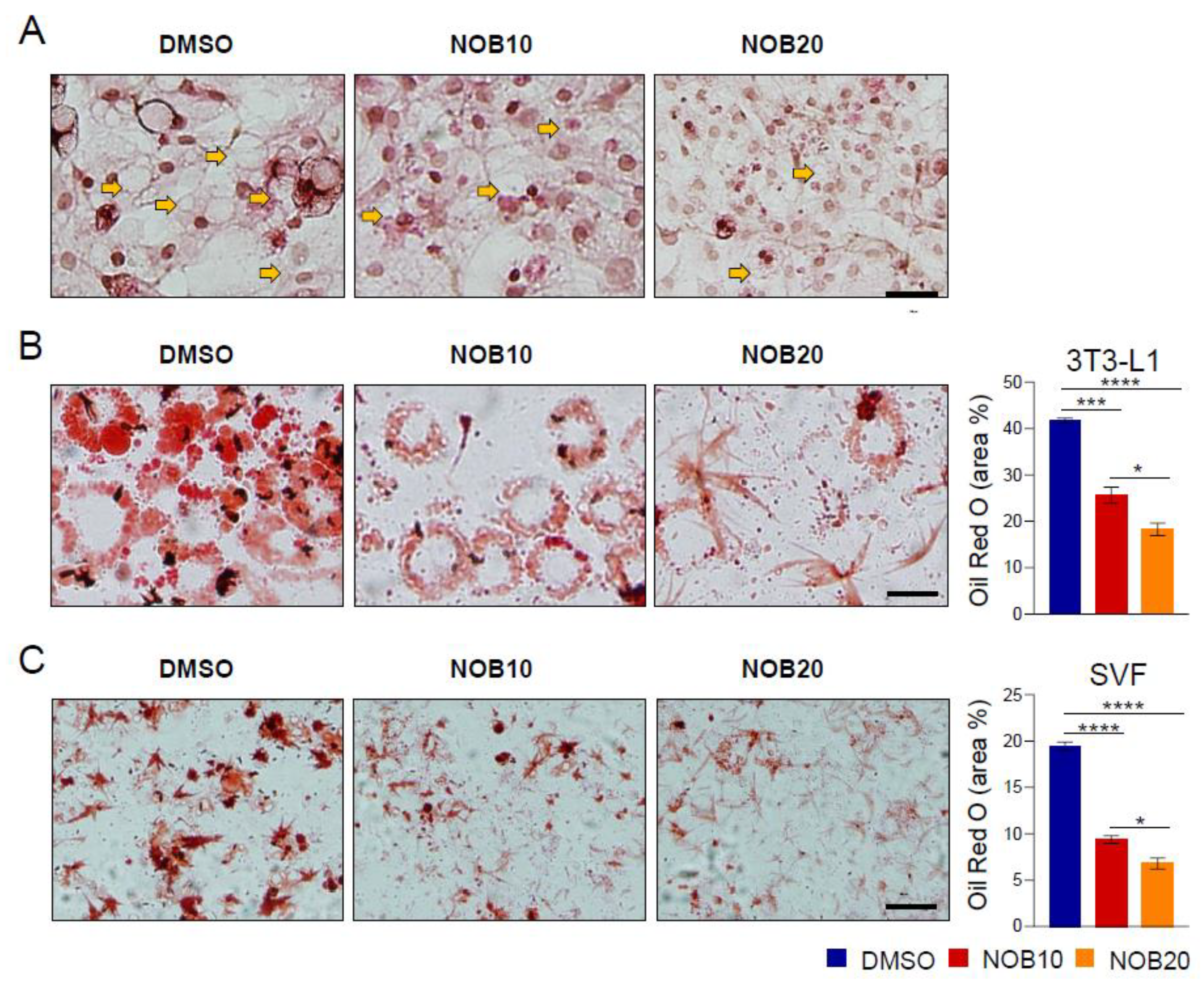 Nutrients 15 03919 g002