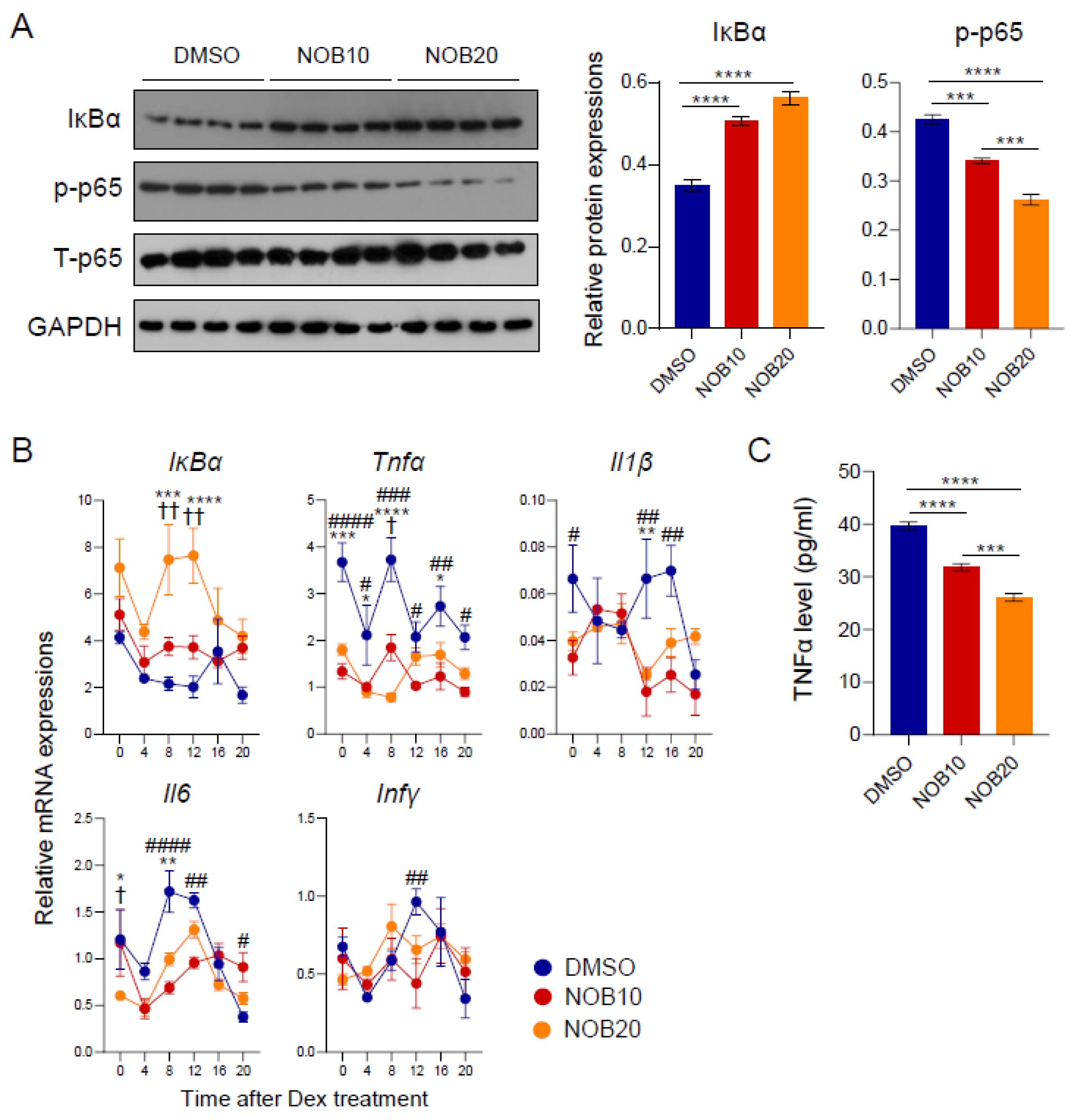 Nutrients 15 03919 g004