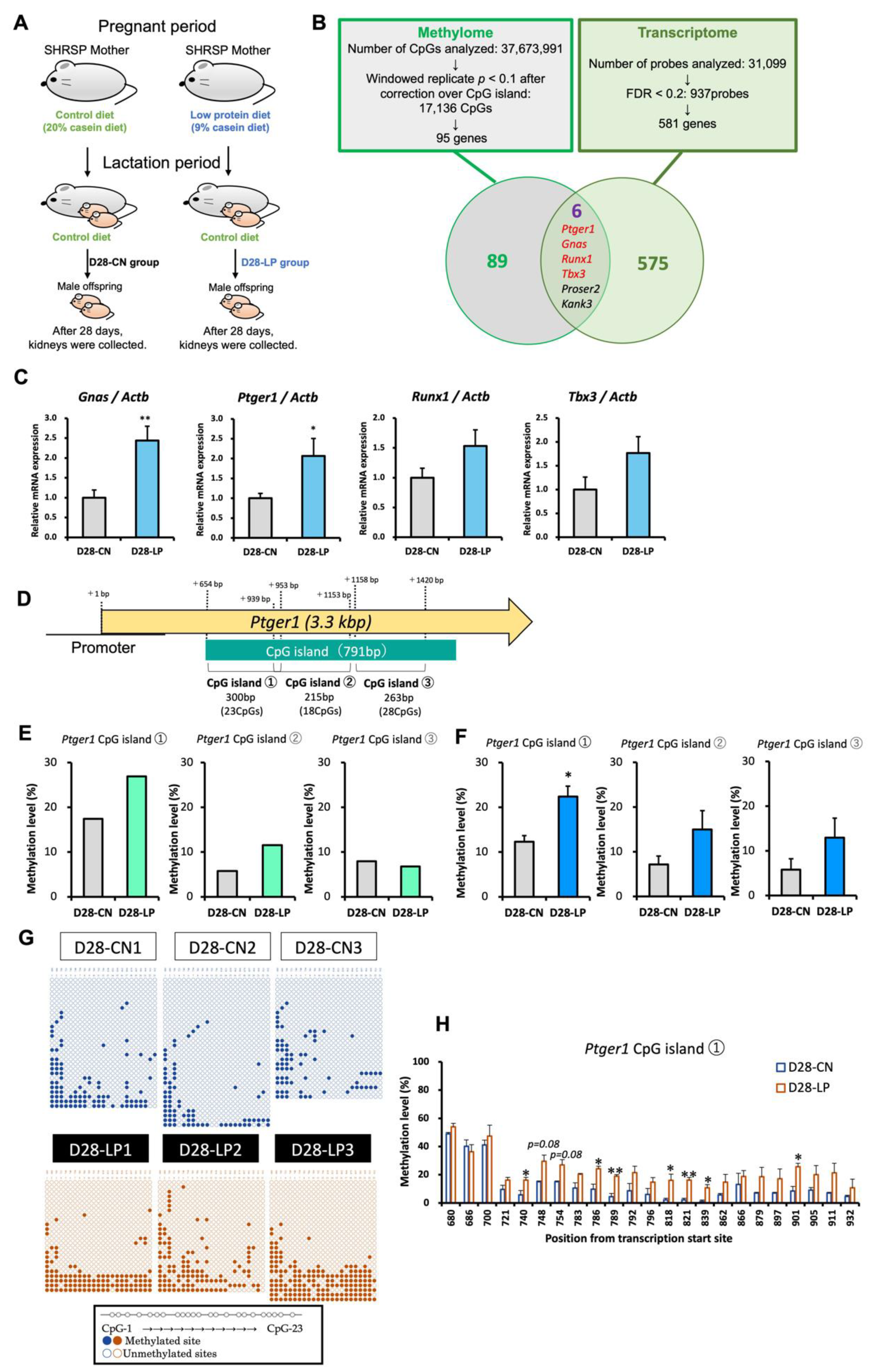 Nutrients 15 03957 g001