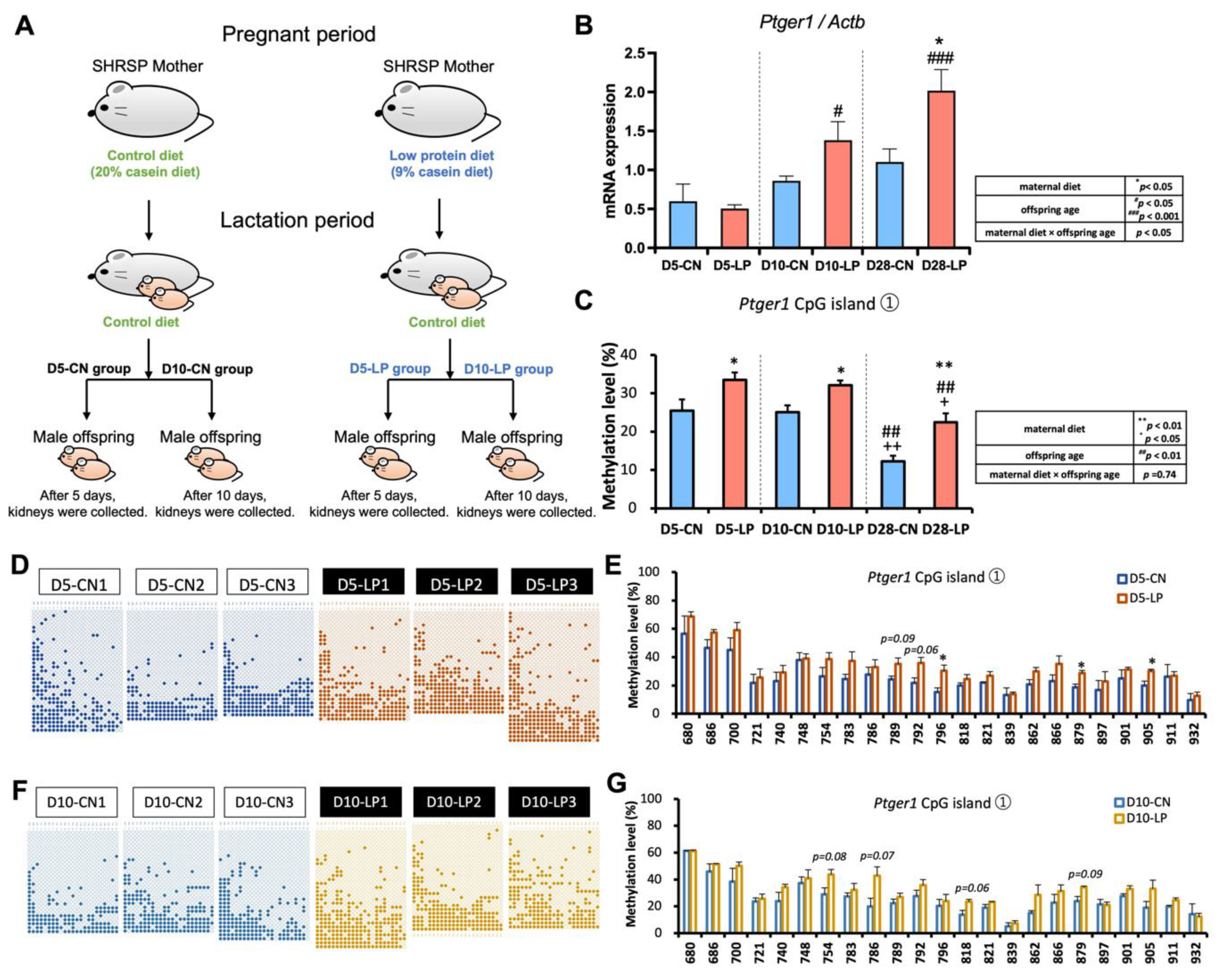 Nutrients 15 03957 g002