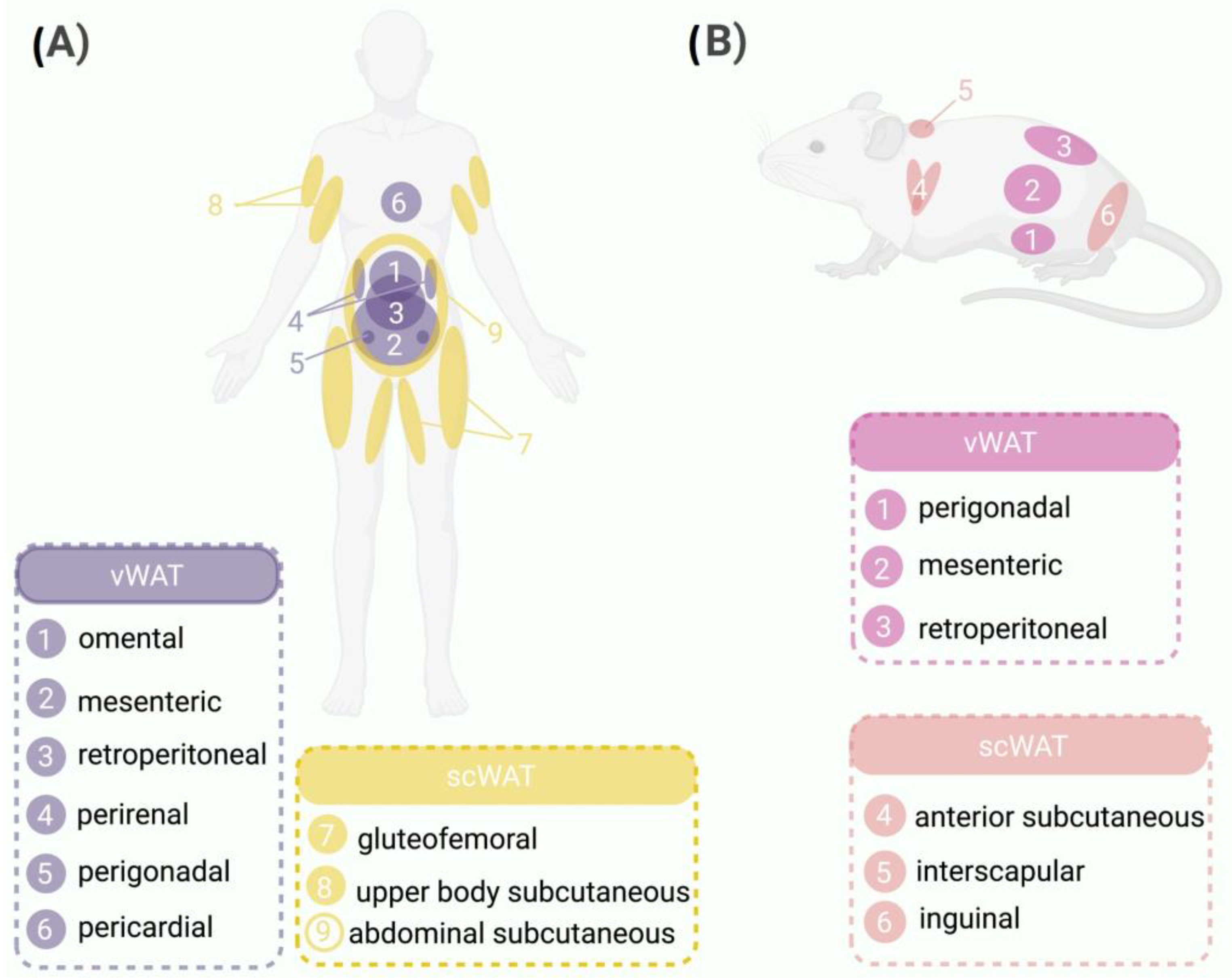 Nutrients 15 03968 g001