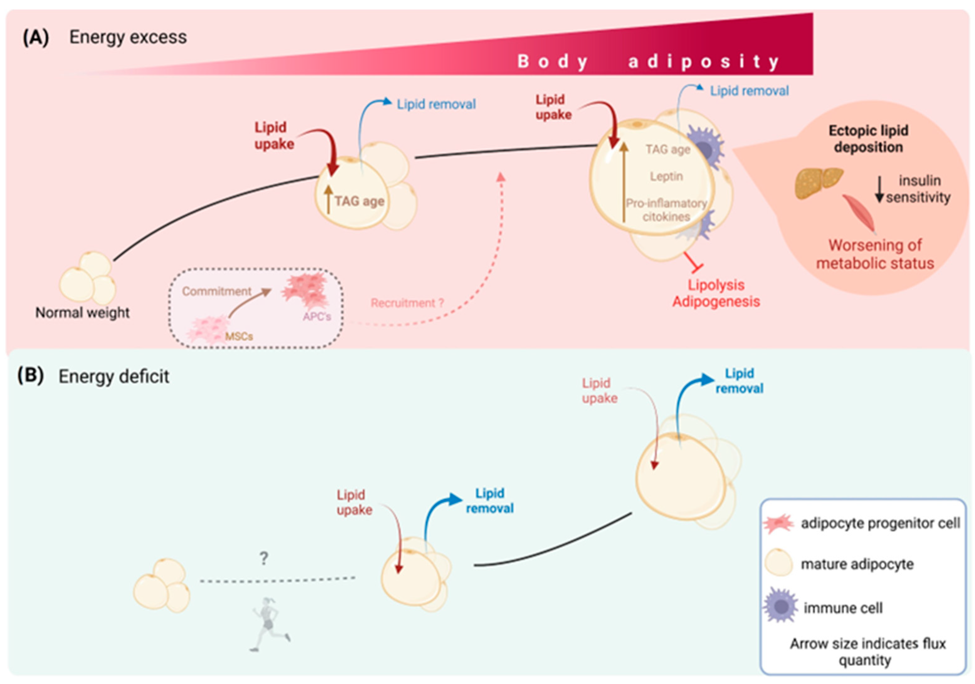 Nutrients 15 03968 g002