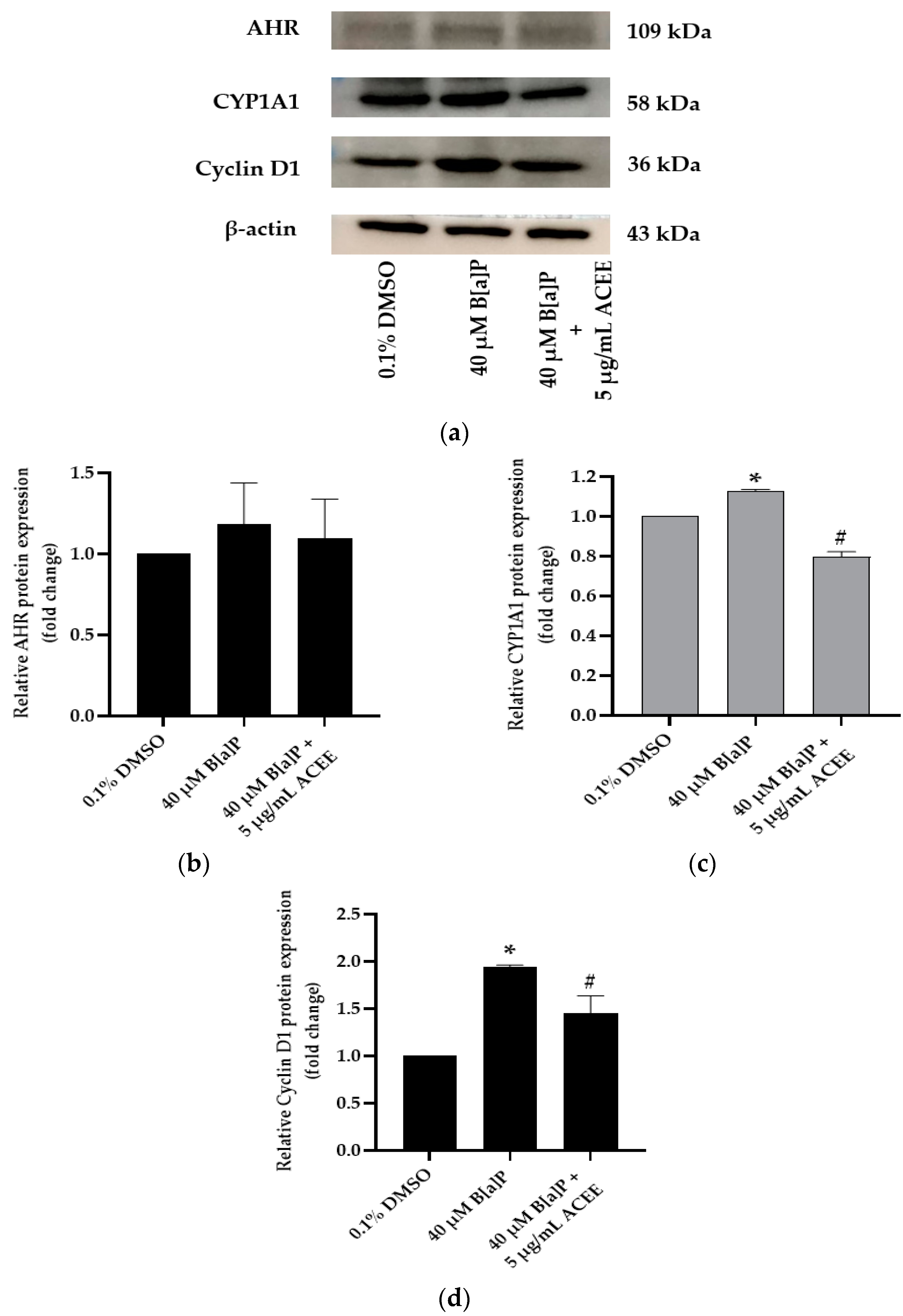 Nutrients 15 03985 g005 Nutrients 15 03985 g005