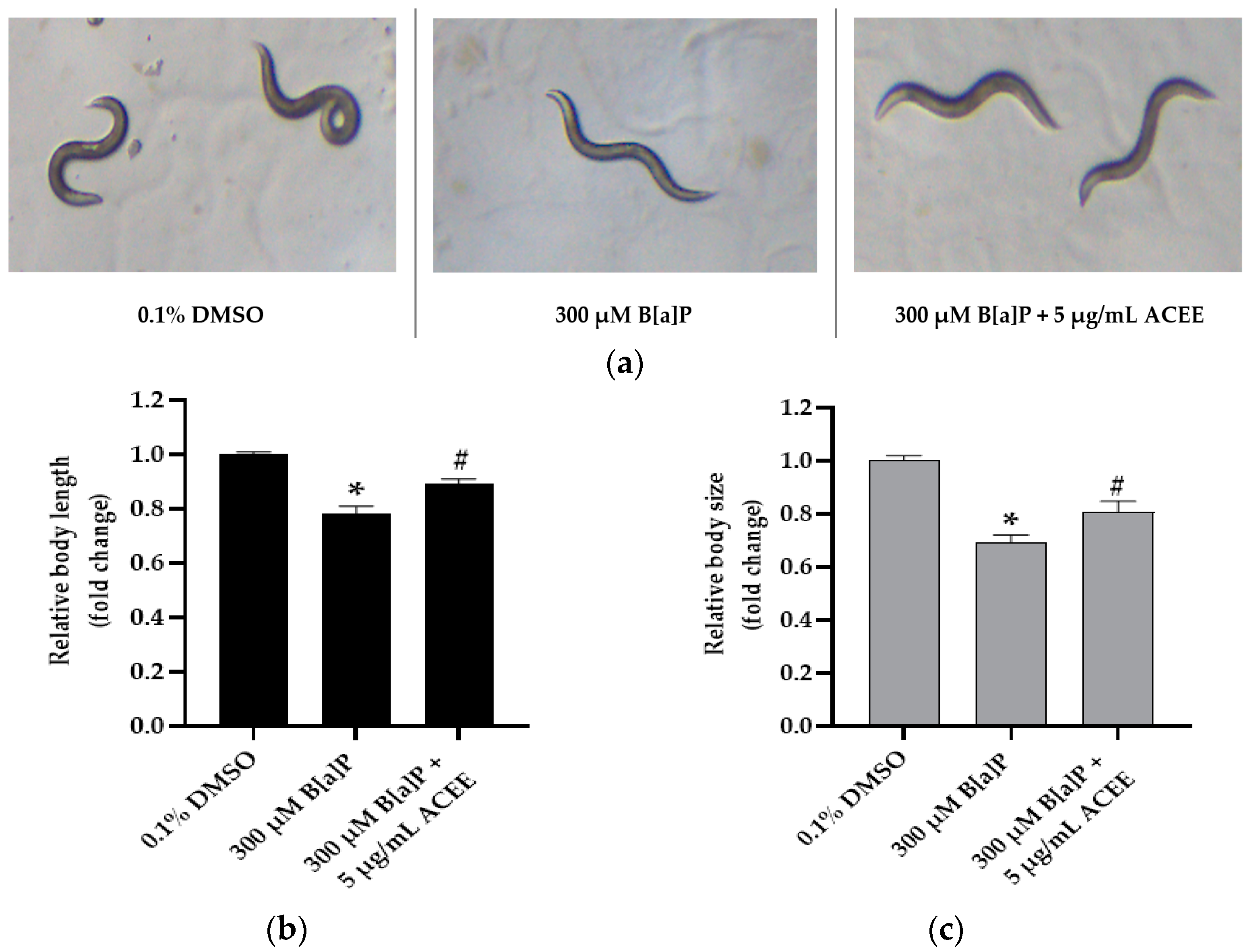 Nutrients 15 03985 g008 Nutrients 15 03985 g008