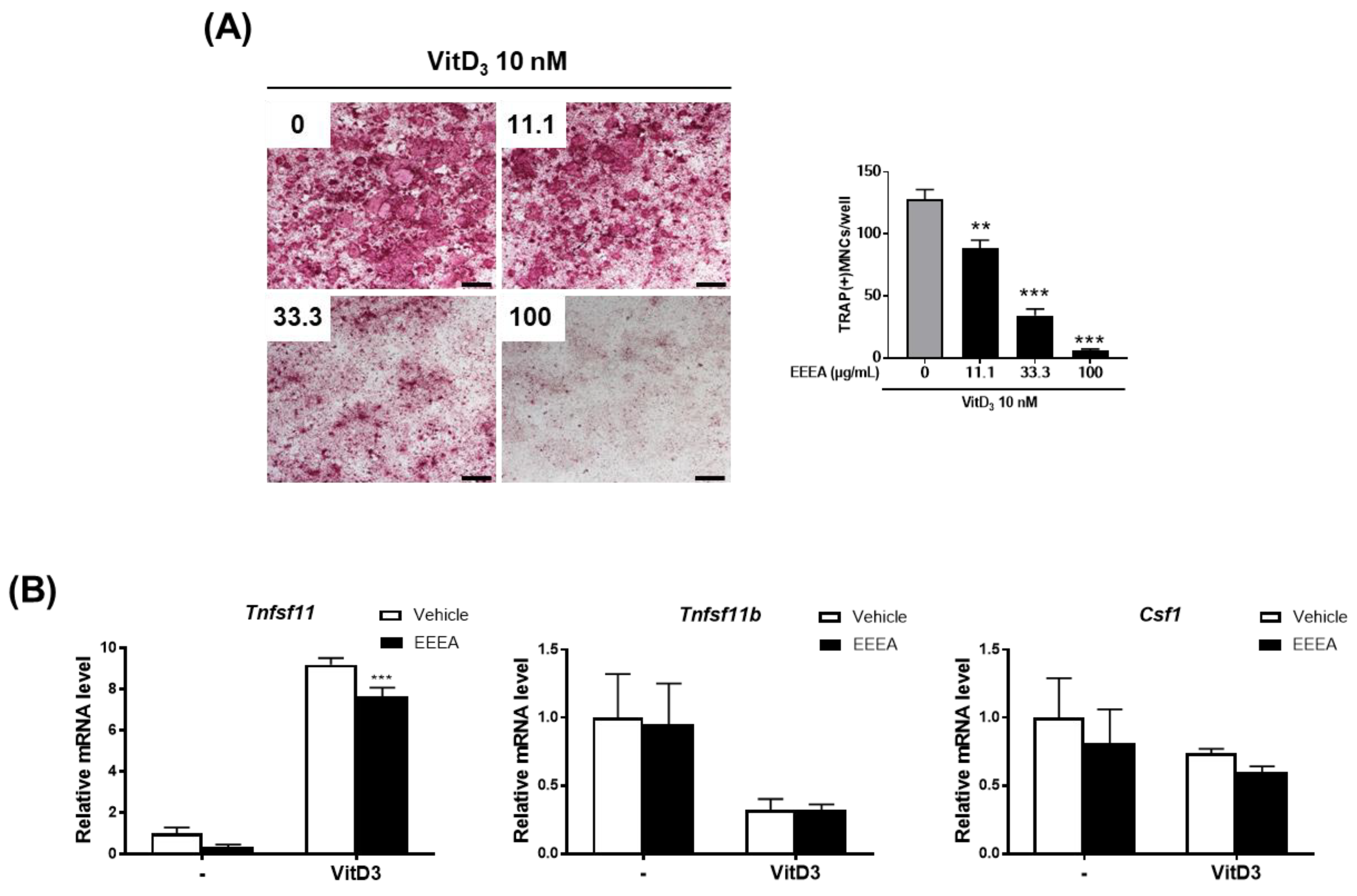Nutrients 15 03996 g001