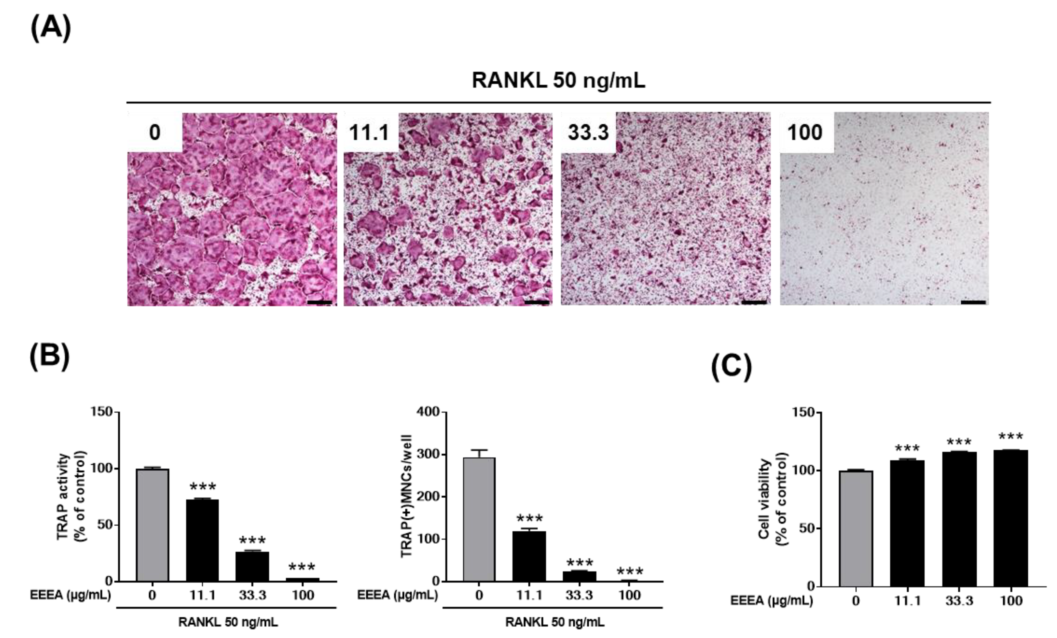 Nutrients 15 03996 g002