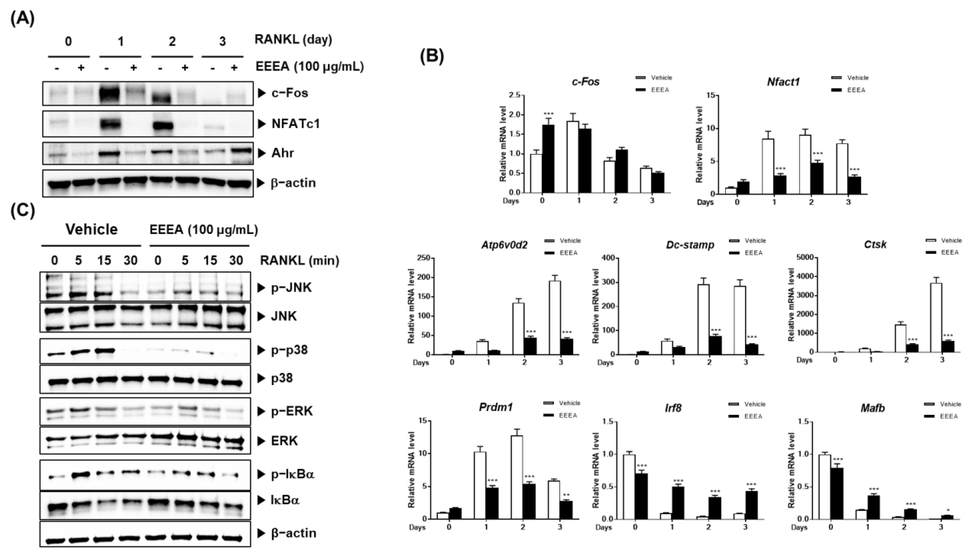 Nutrients 15 03996 g003