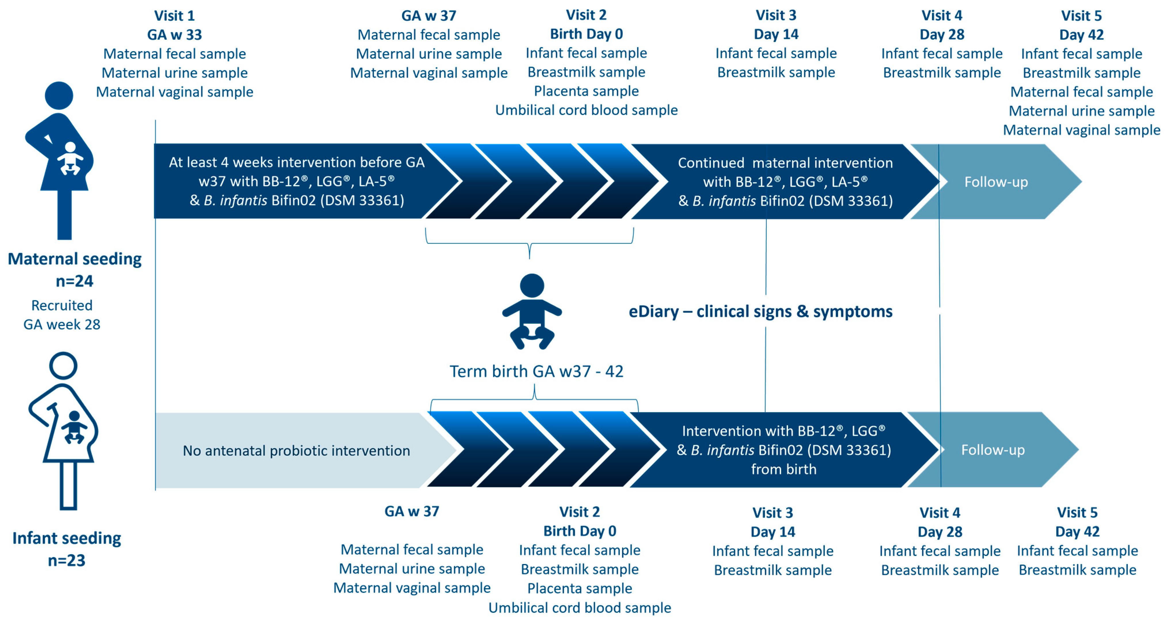 Nutrients 15 04000 g001