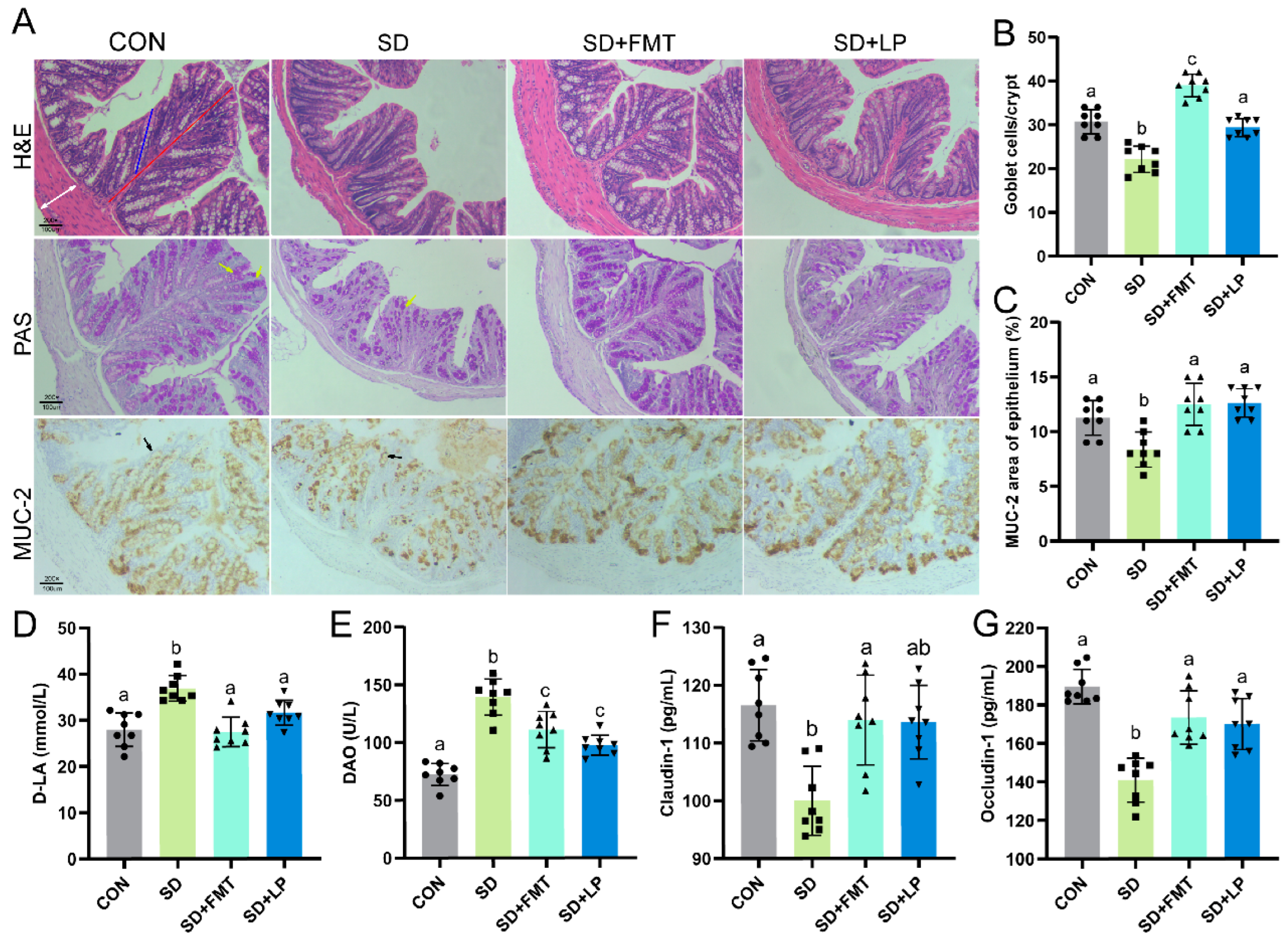 Nutrients 15 04002 g004