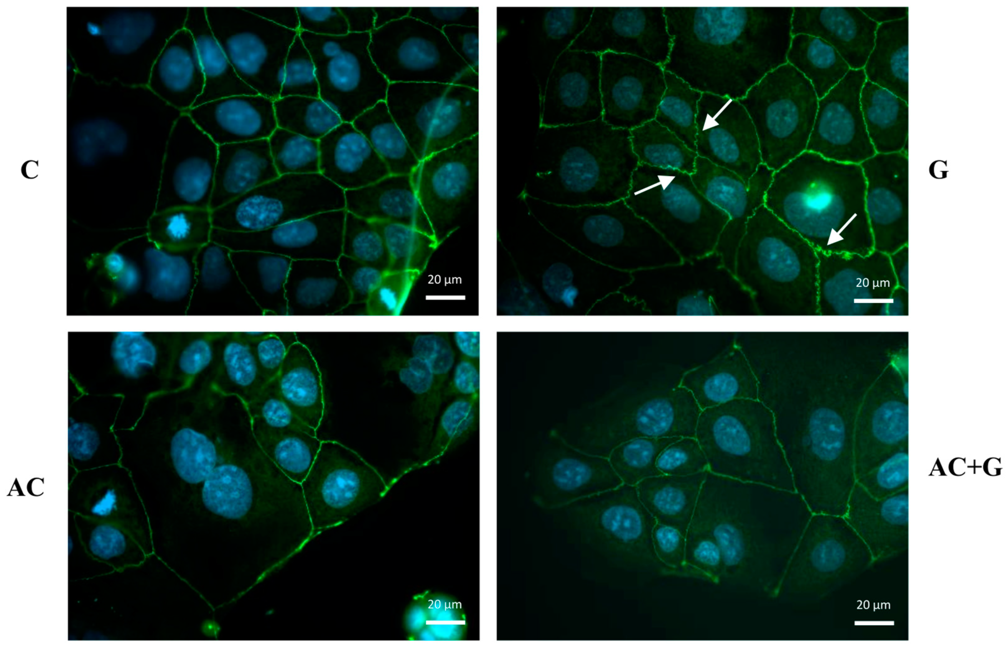 Nutrients 15 04022 g004