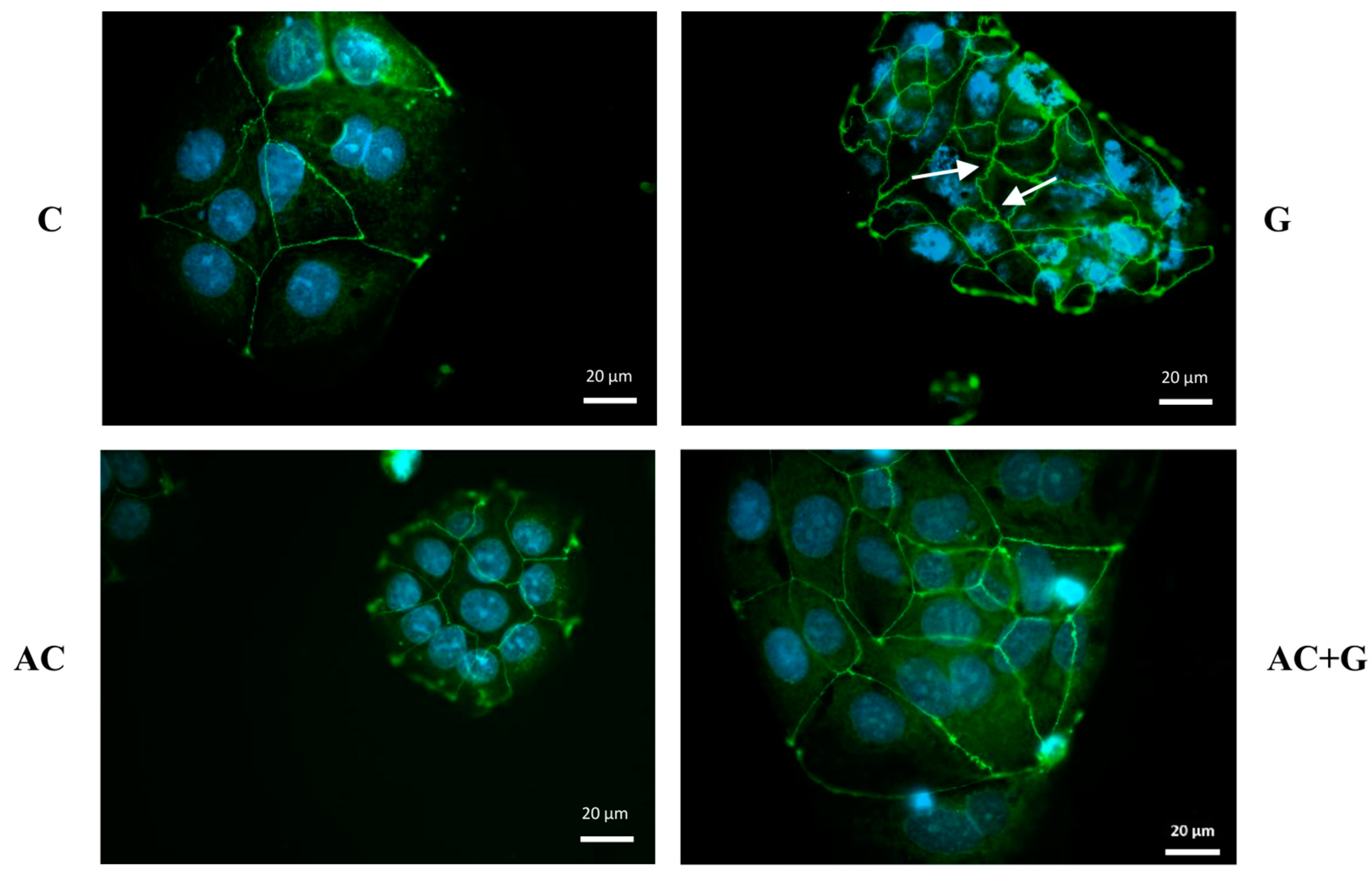 Nutrients 15 04022 g005