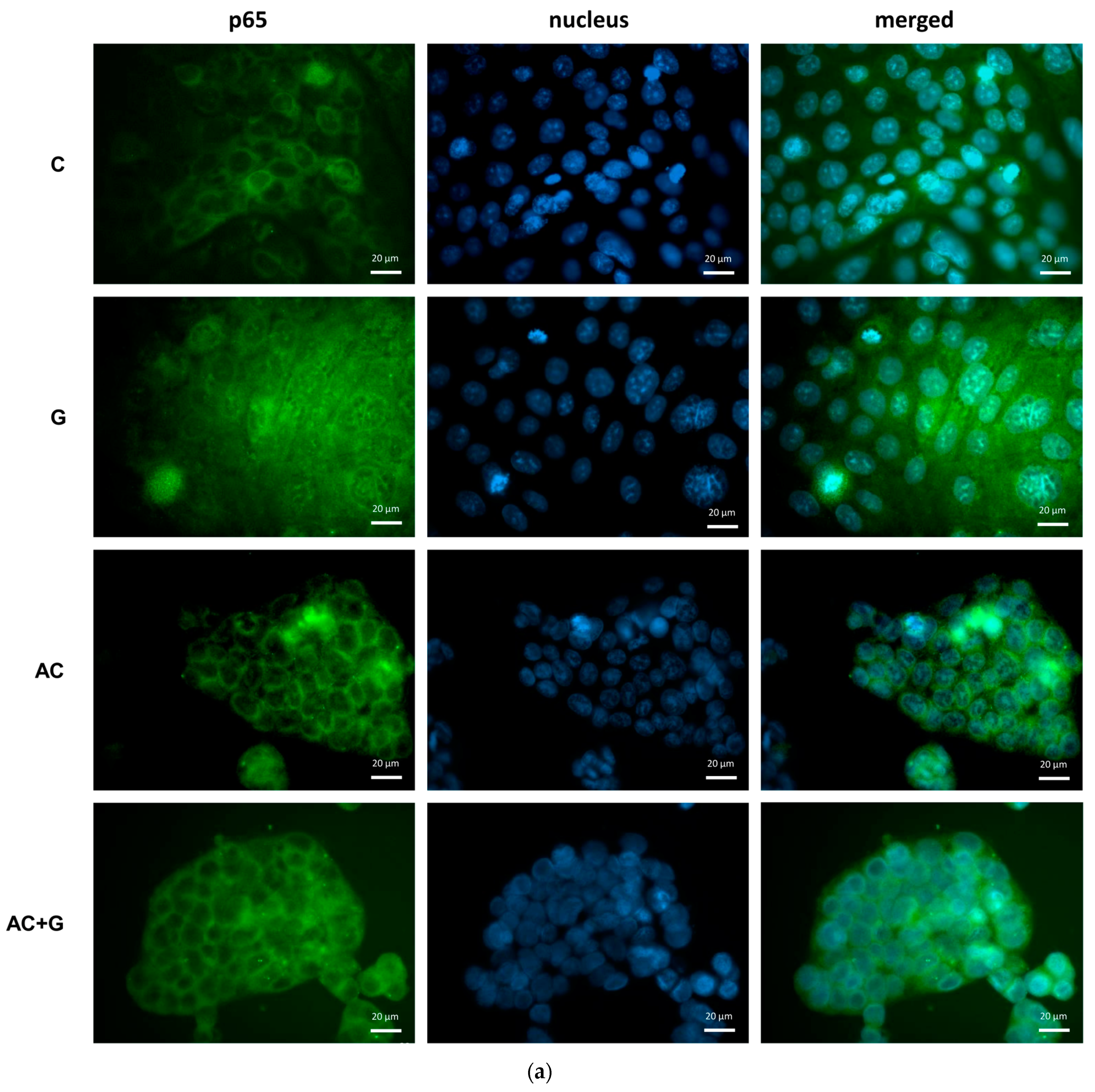 Nutrients 15 04022 g006a
