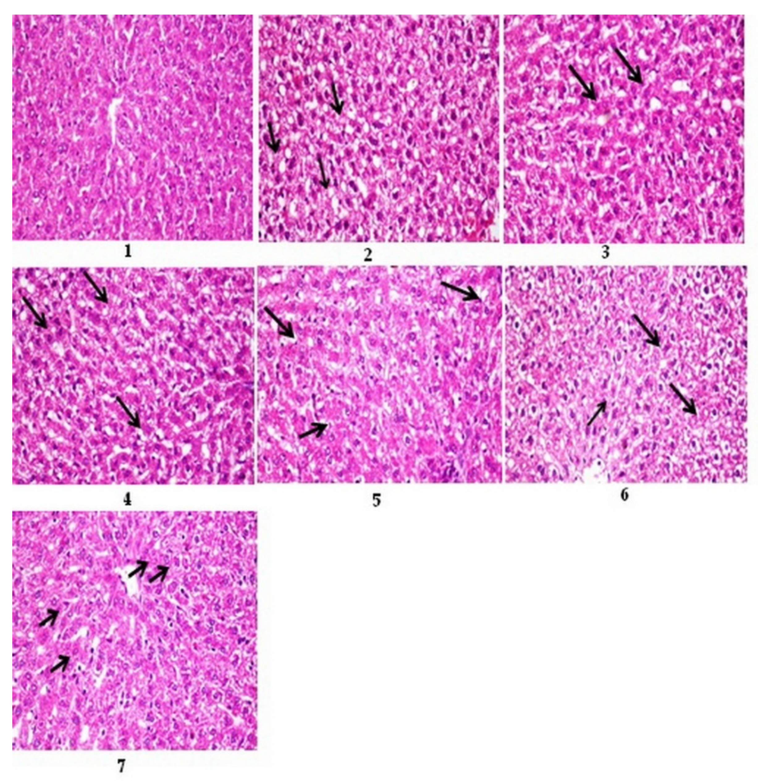 Nutrients 15 04037 g001