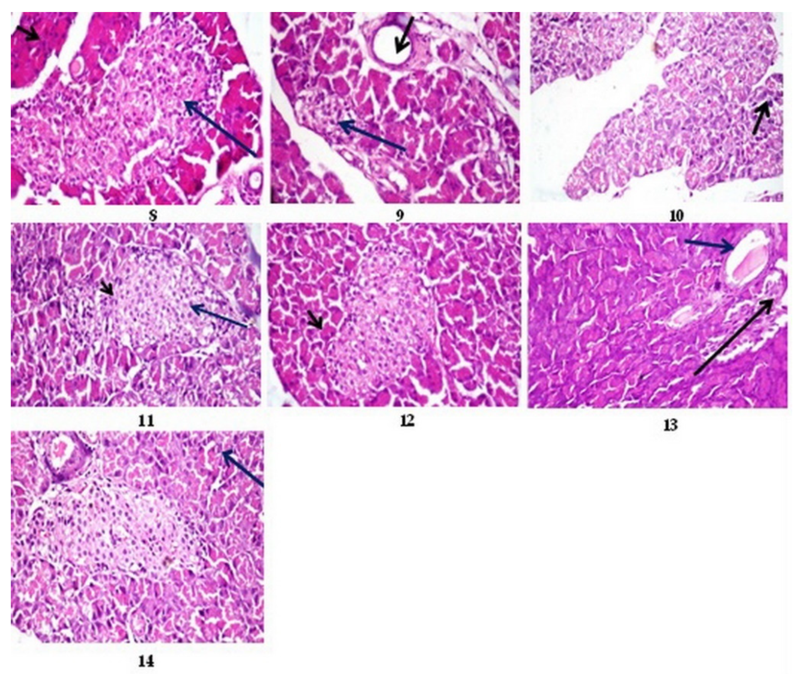 Nutrients 15 04037 g002