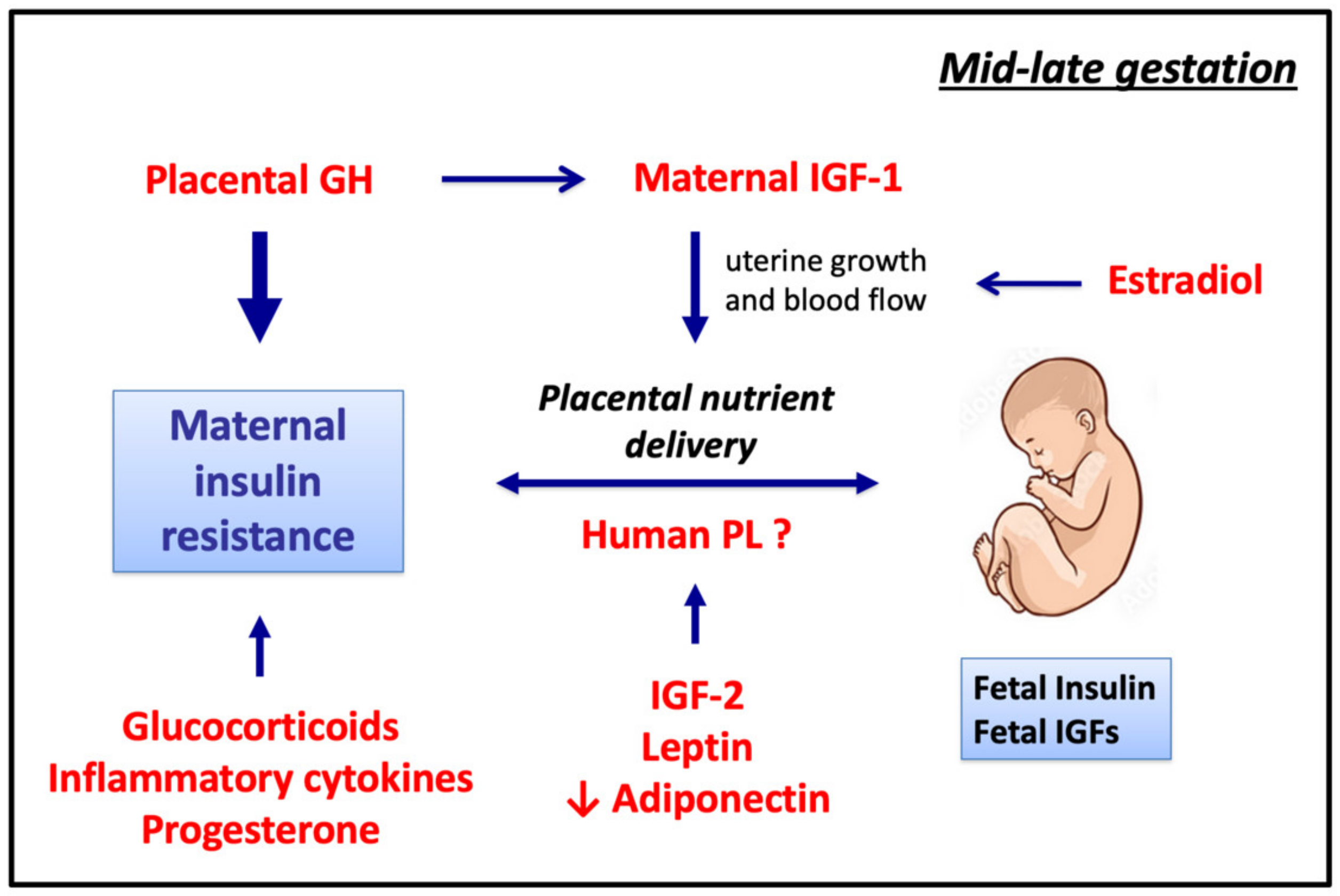 Nutrients 15 04041 g005