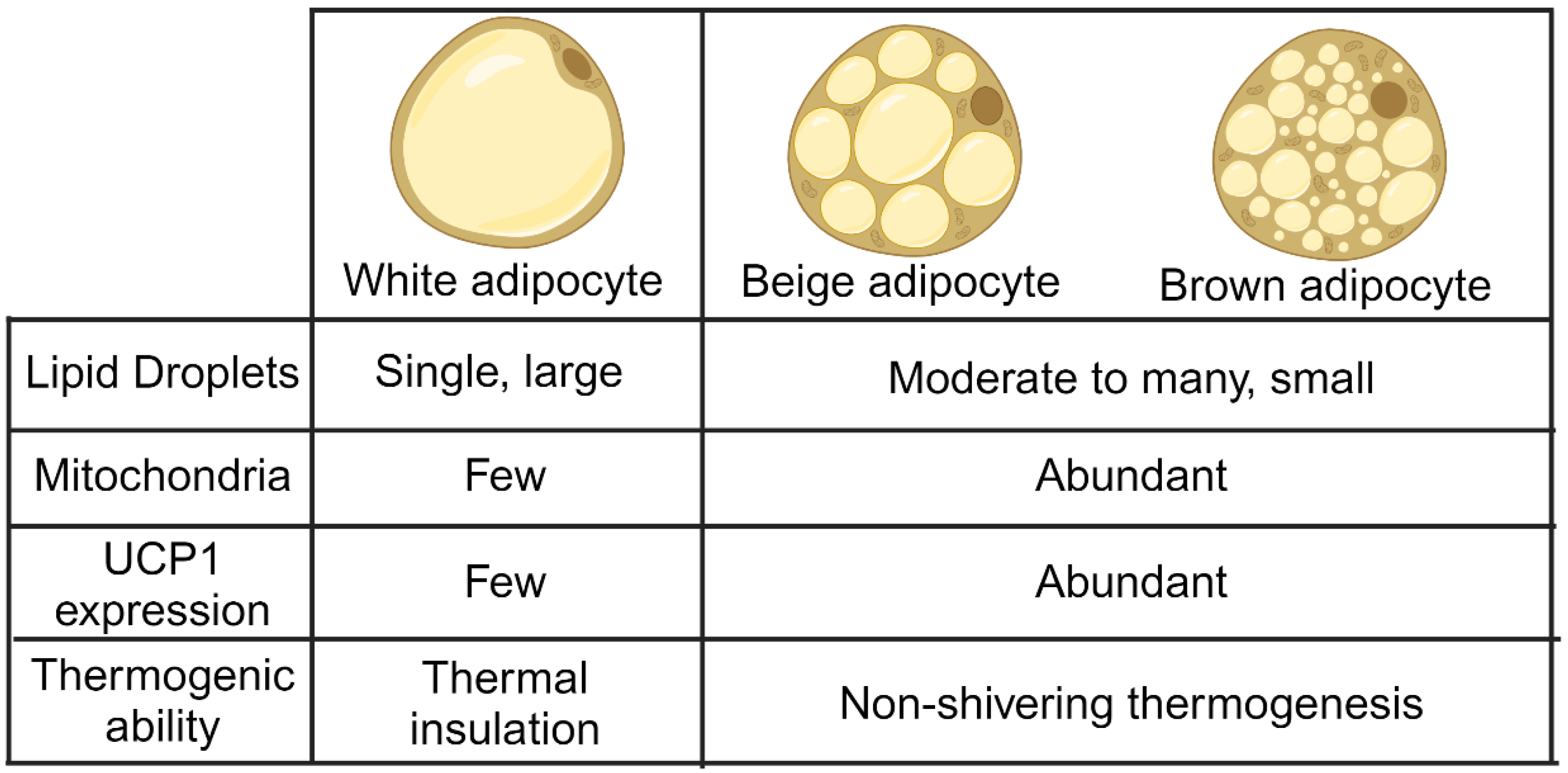 Nutrients 15 04072 g001