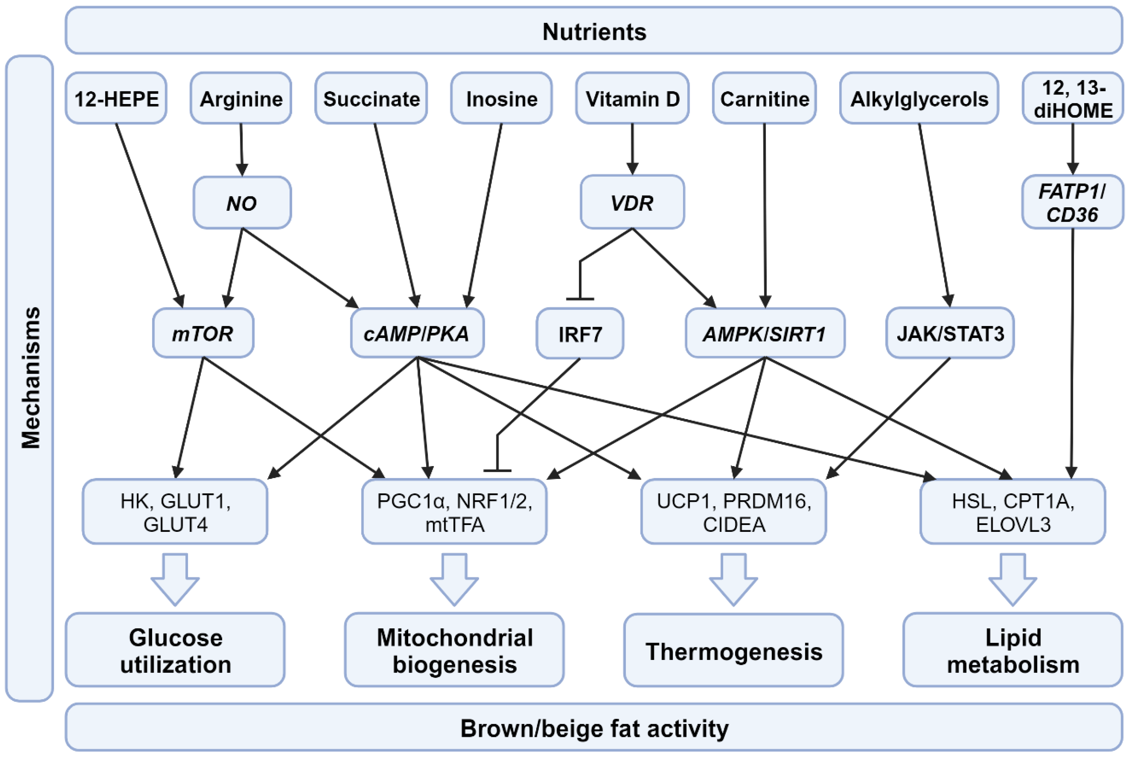 Nutrients 15 04072 g002