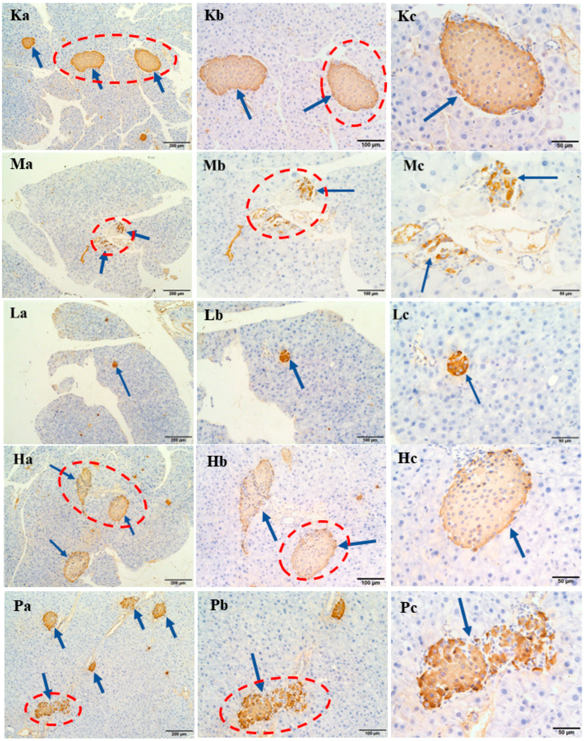 Nutrients 15 04080 g005