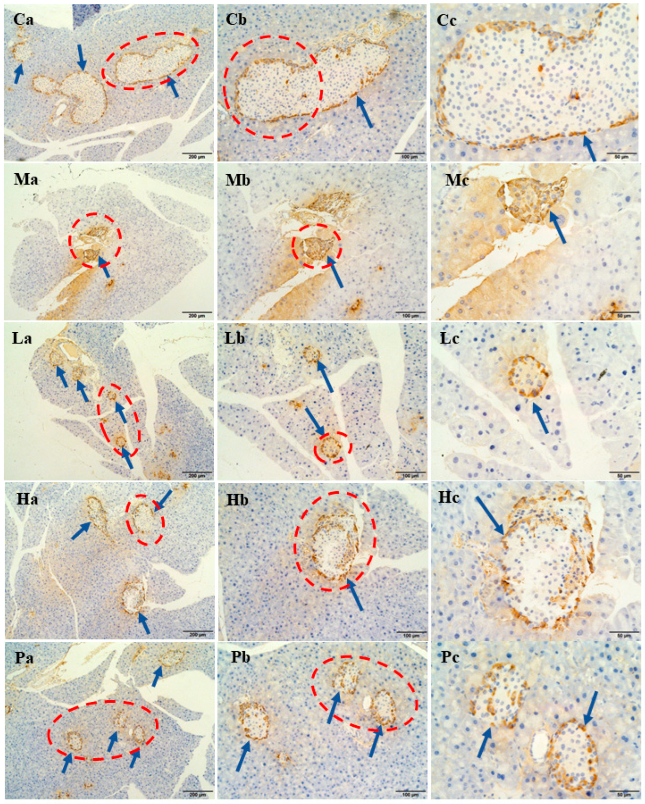 Nutrients 15 04080 g006