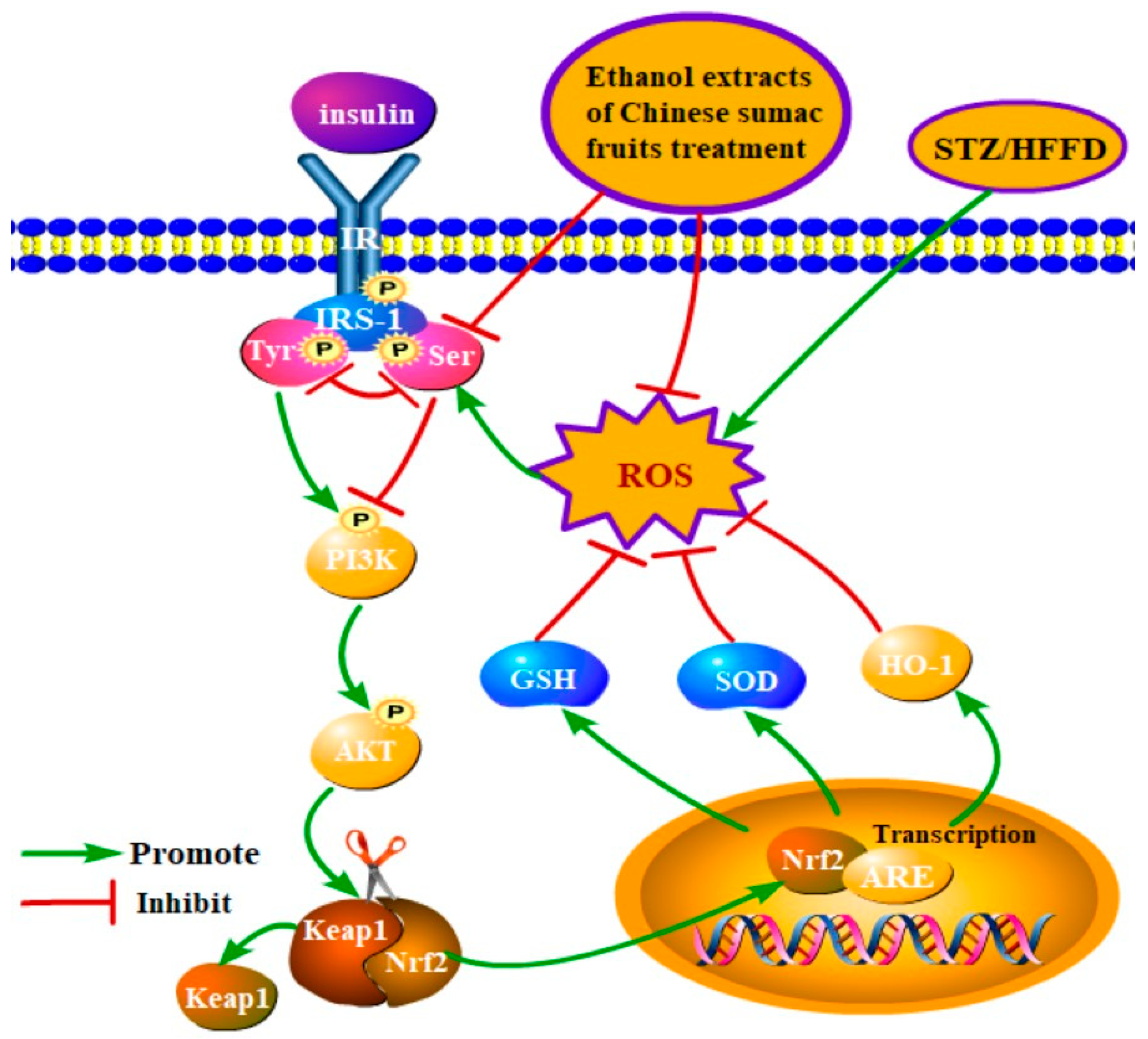 Nutrients 15 04080 g009
