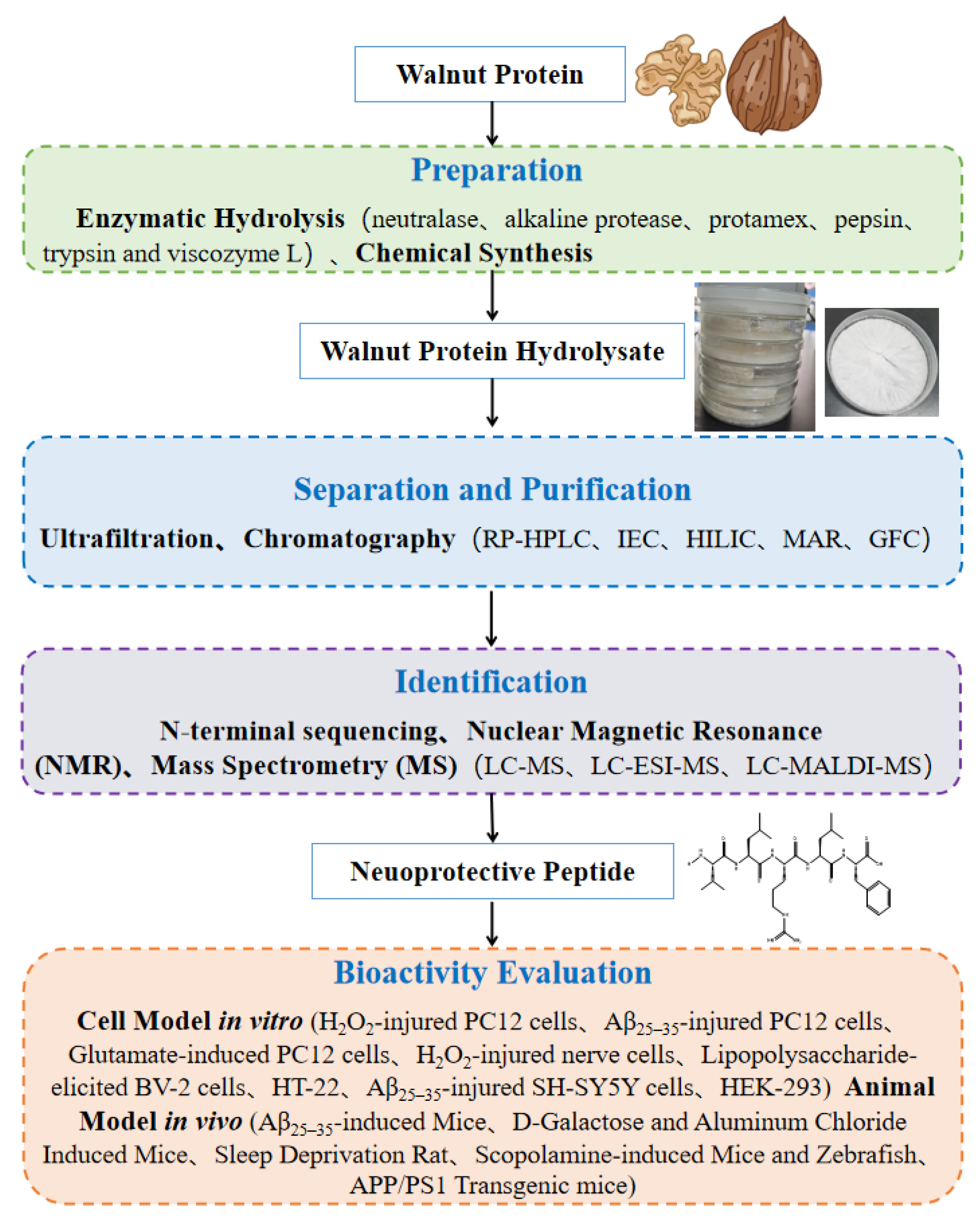 Nutrients 15 04085 g001