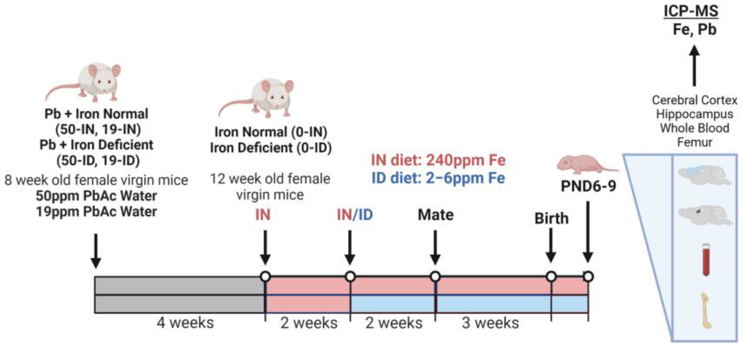 Nutrients 15 04101 g001
