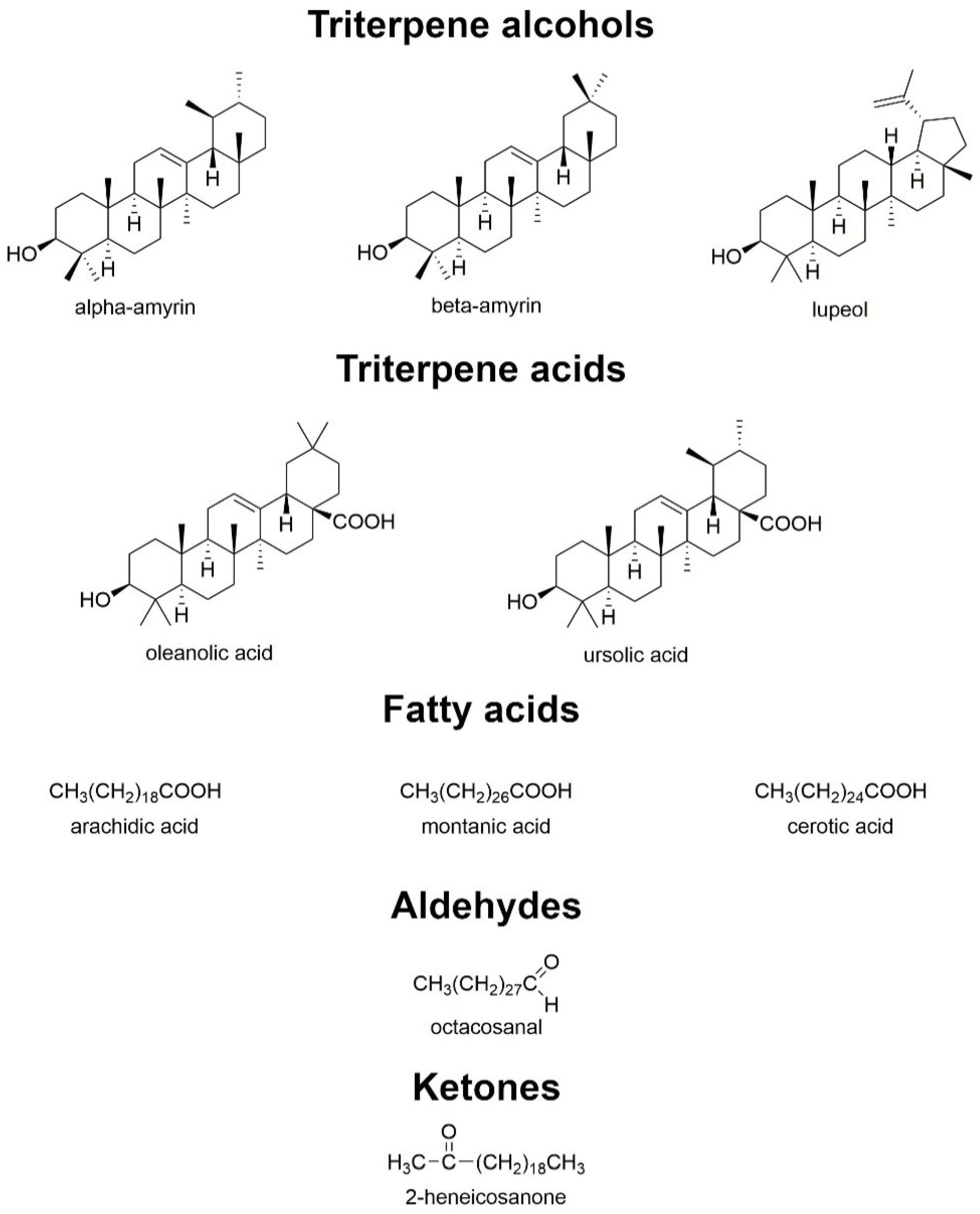 Nutrients 15 04119 g010