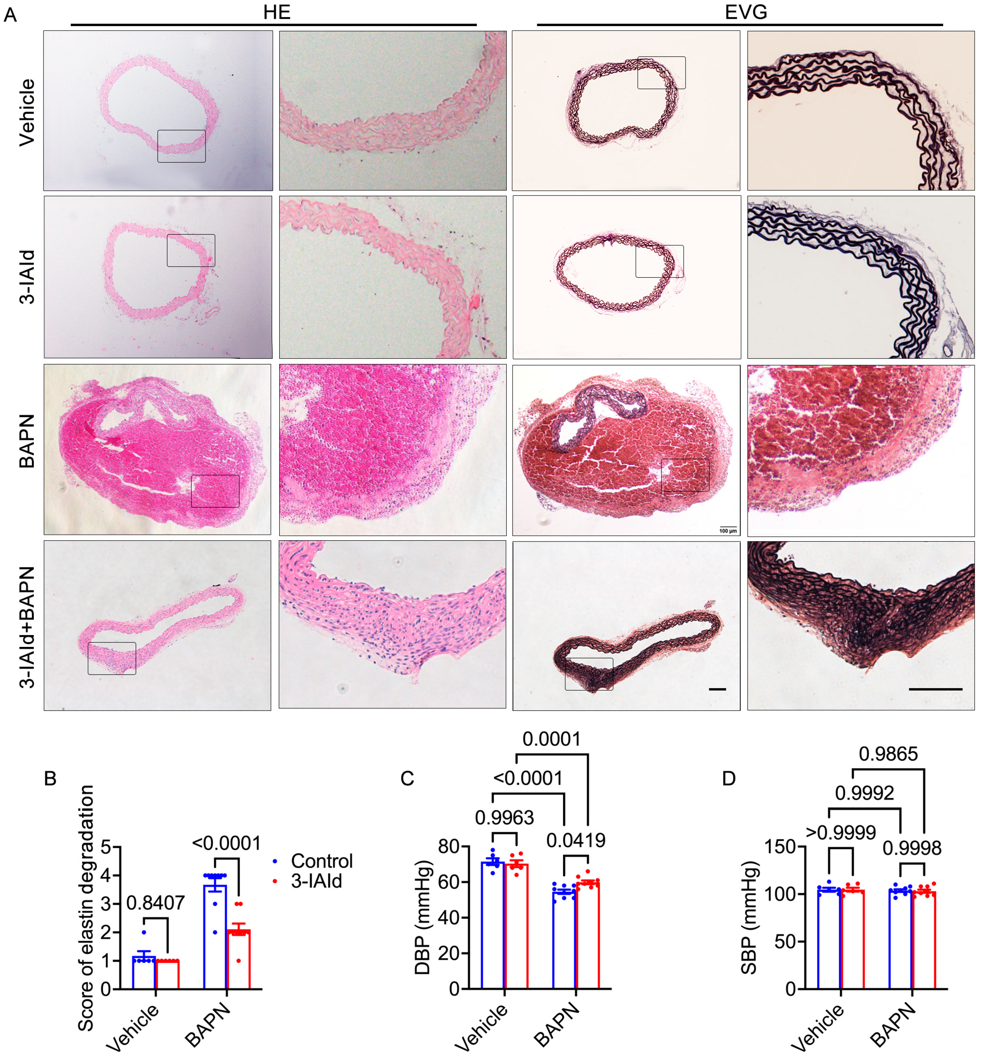 Nutrients 15 04150 g002
