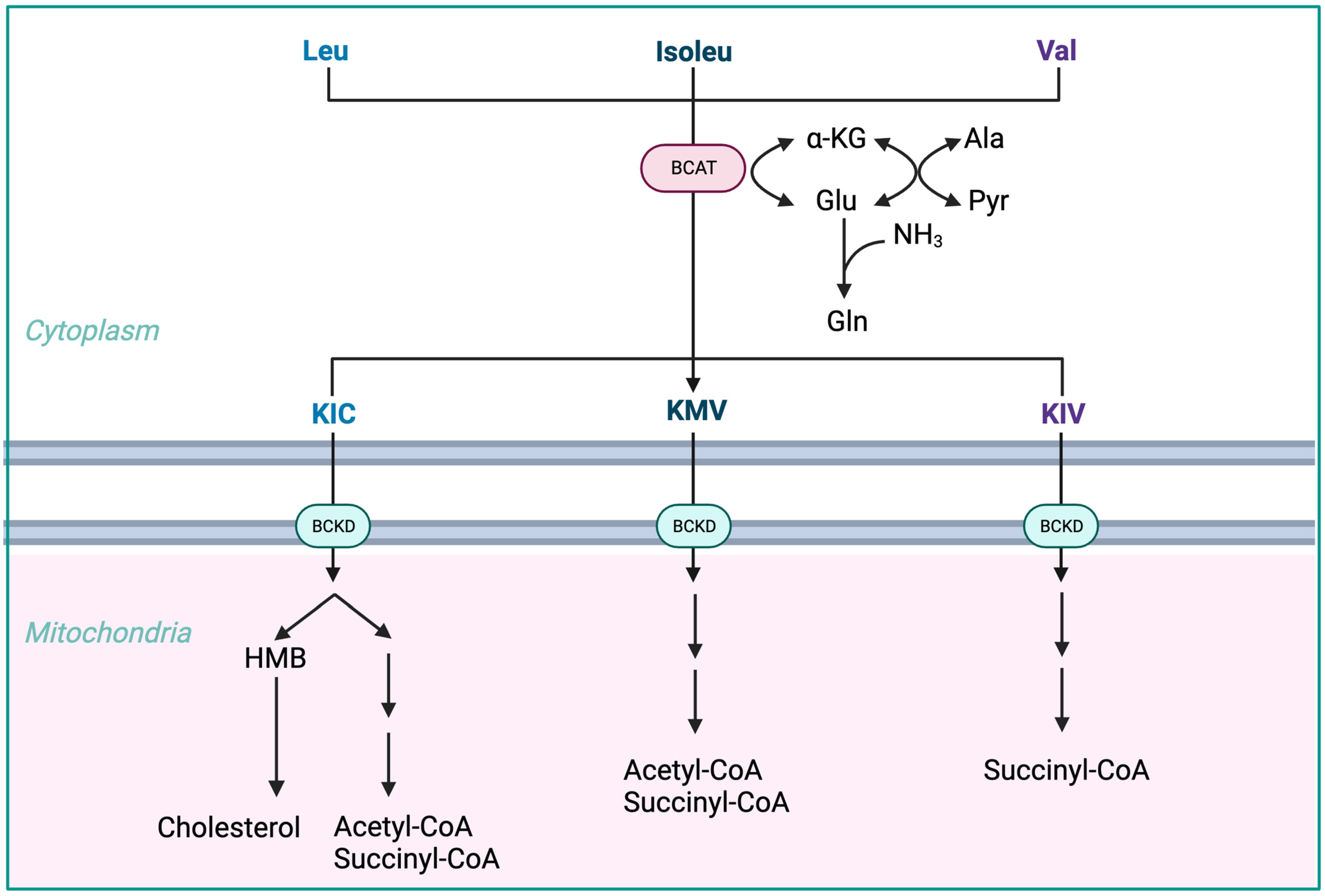 Nutrients 15 04190 g002