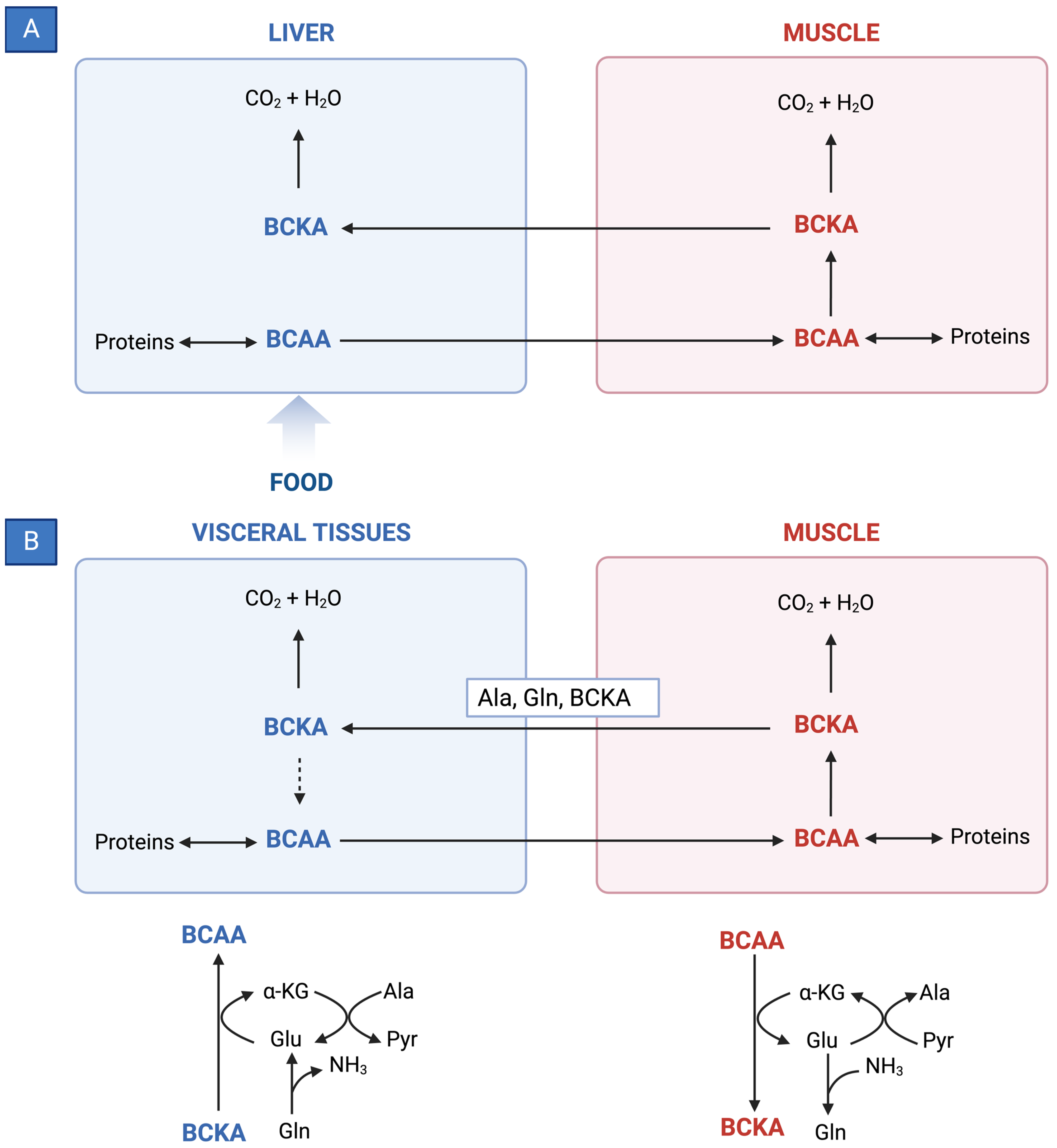 Nutrients 15 04190 g003