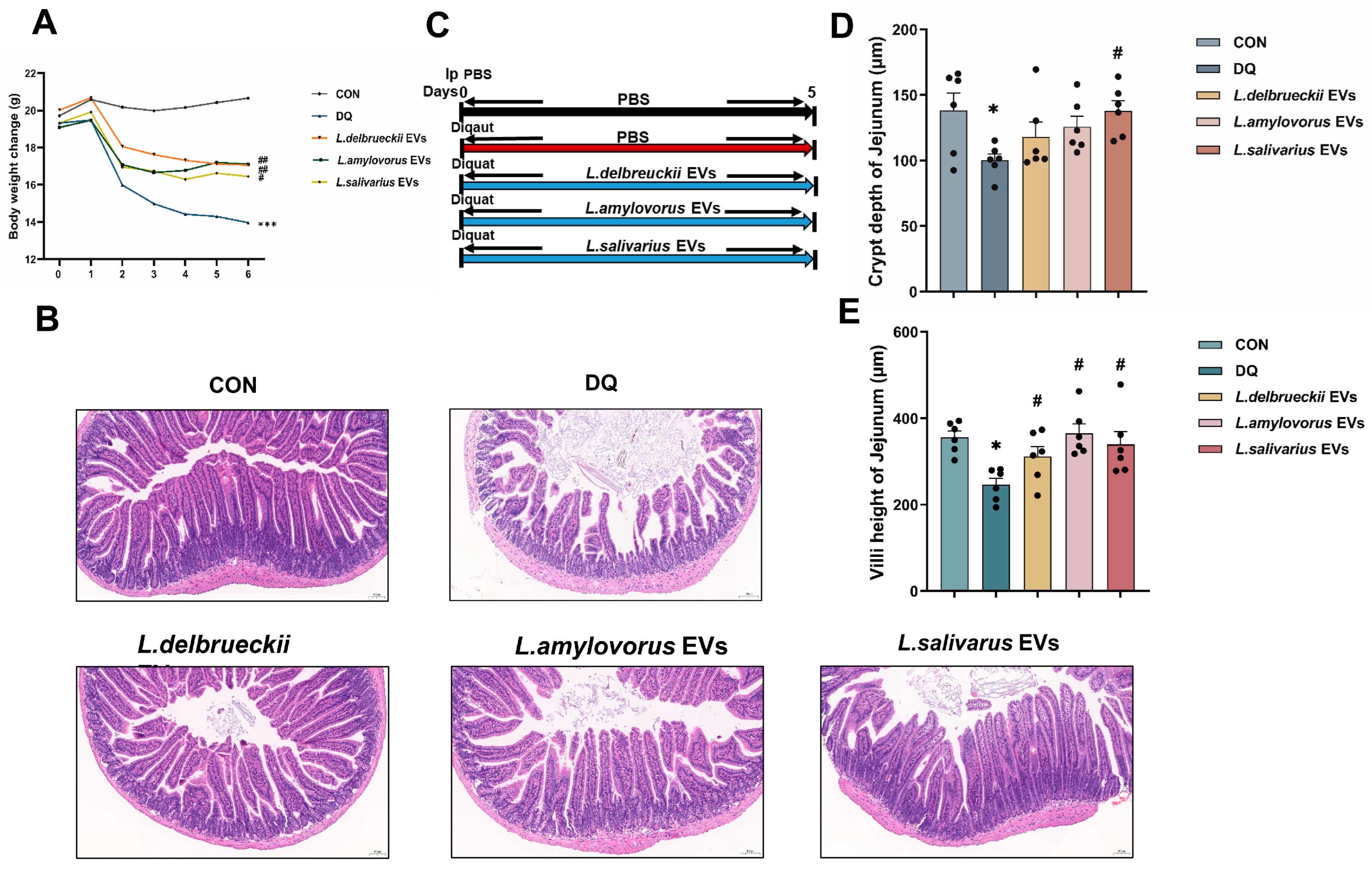 Nutrients 15 04198 g004