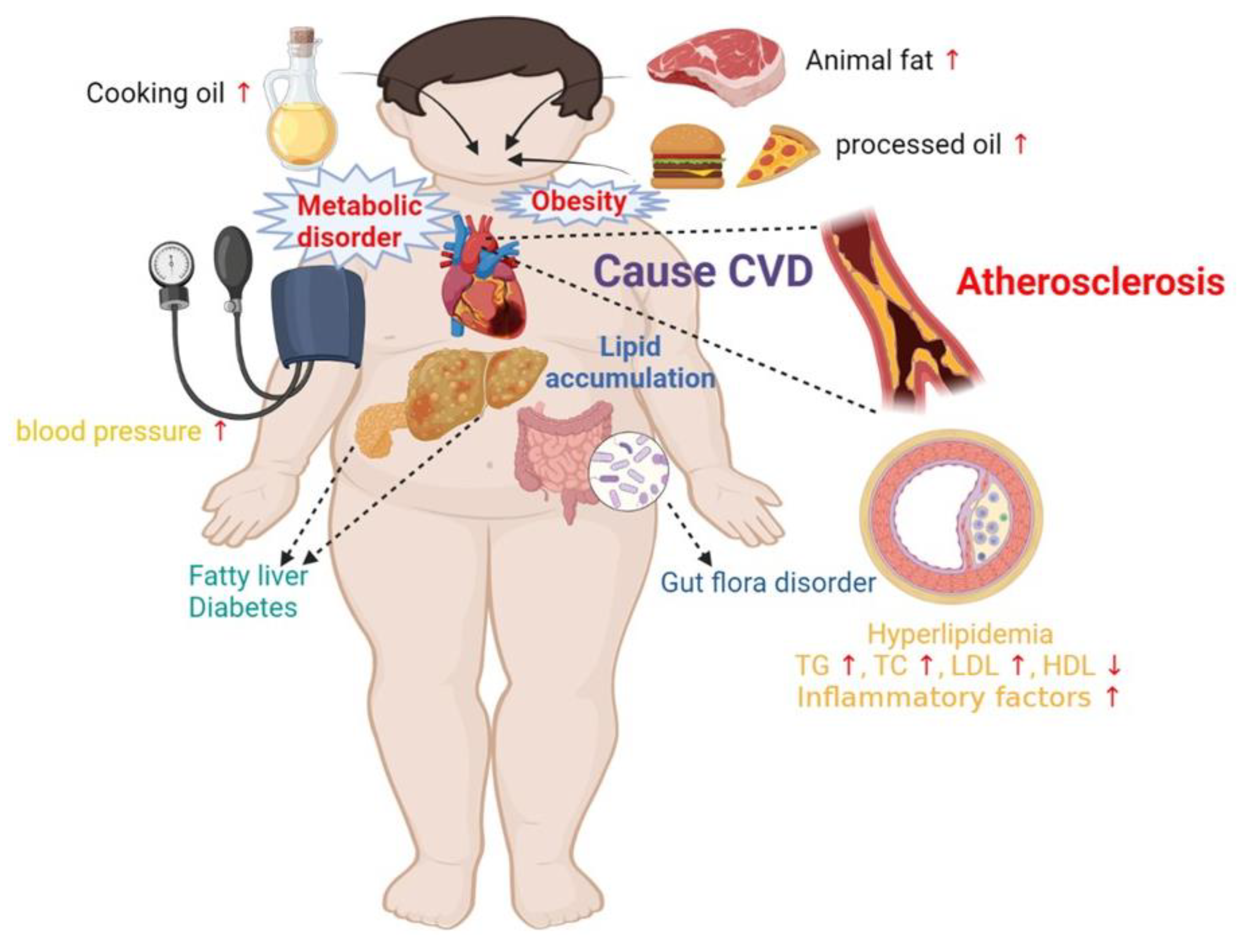Nutrients 15 04214 g005