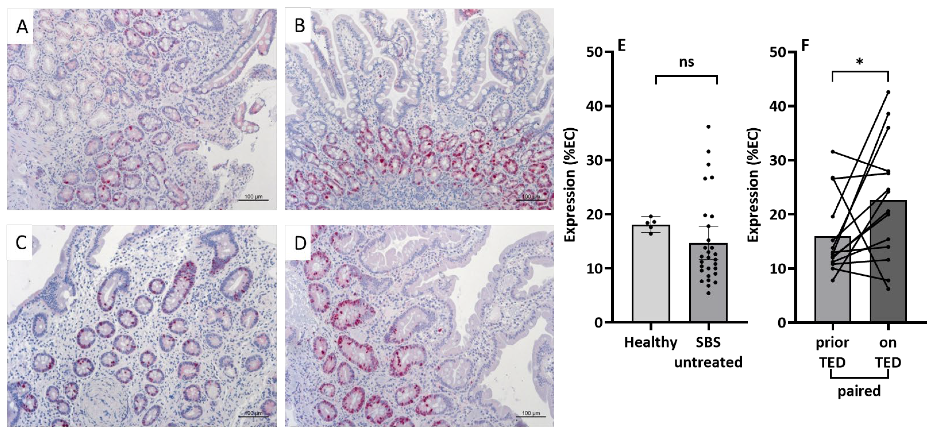 Nutrients 15 04220 g003 Nutrients 15 04220 g003