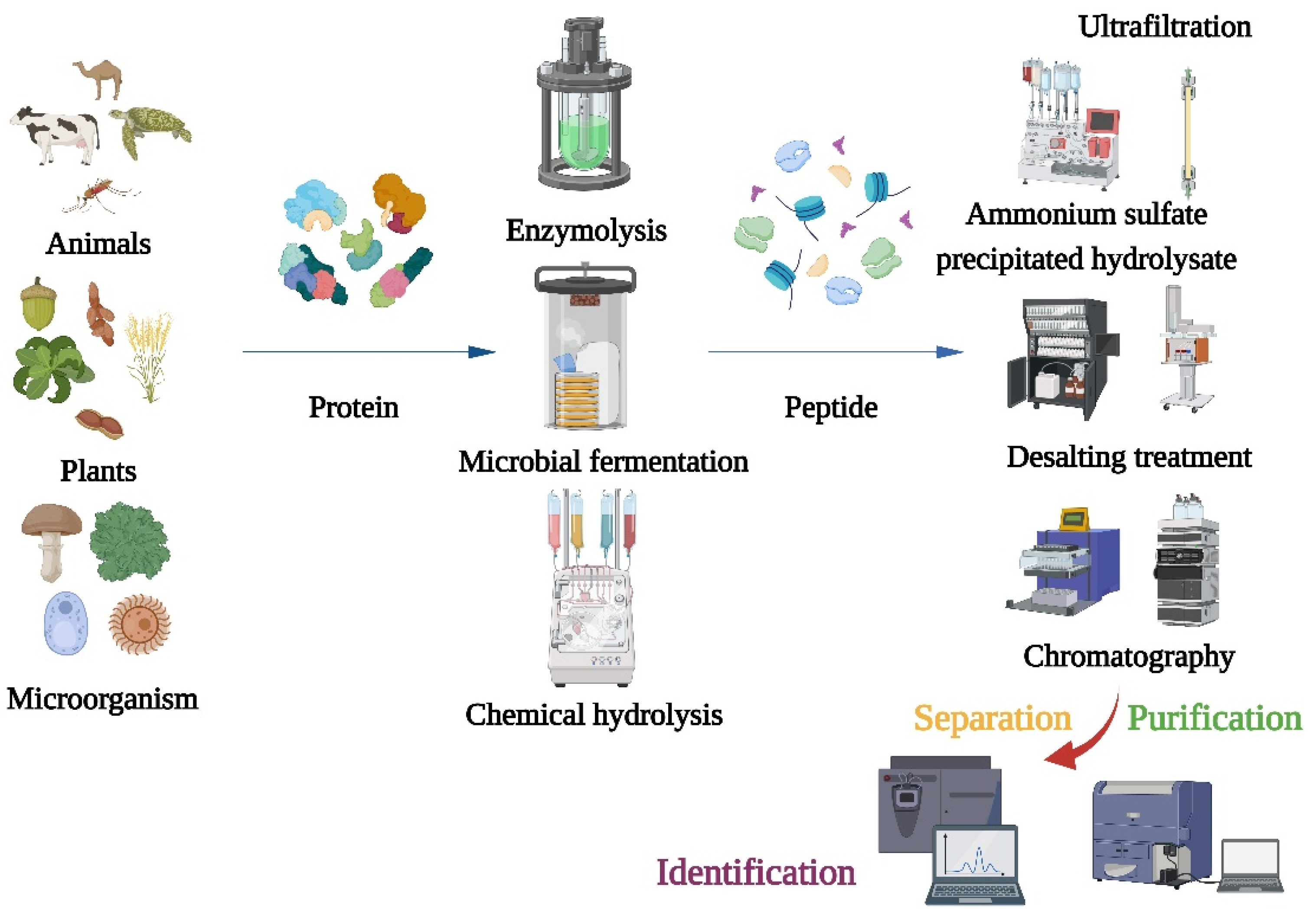 Nutrients 15 04267 g001