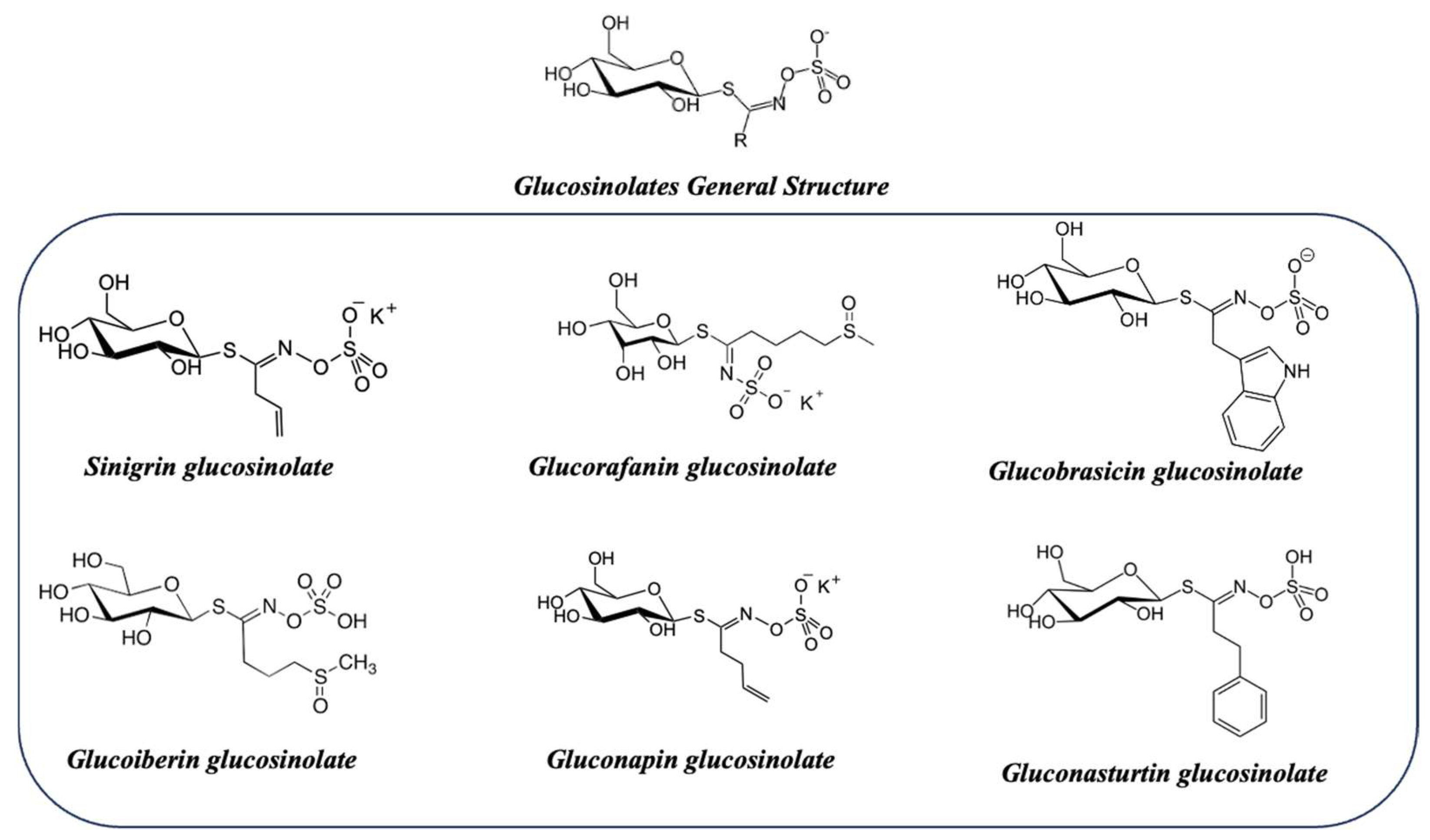 Nutrients 15 04274 g008