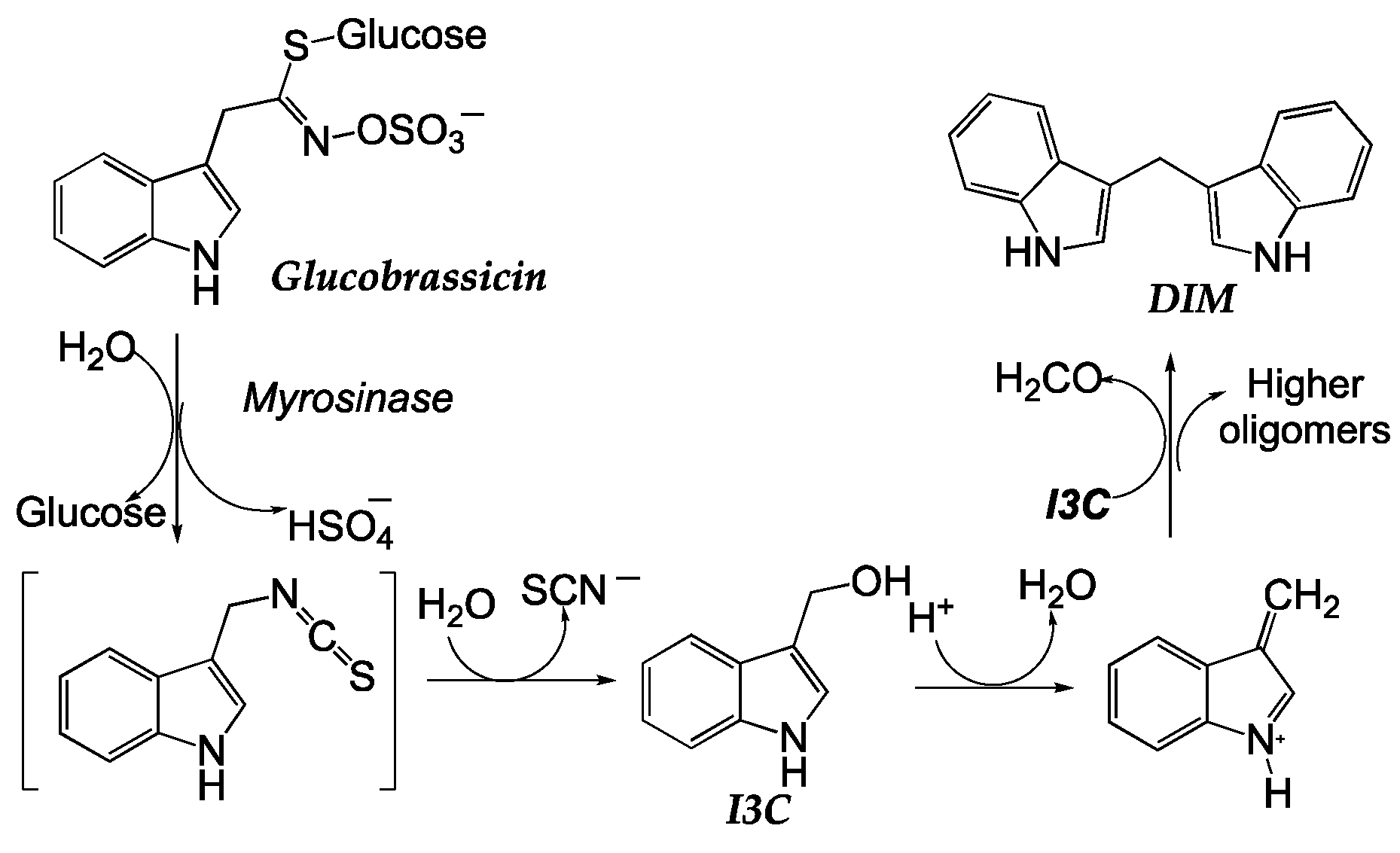 Nutrients 15 04274 sch004