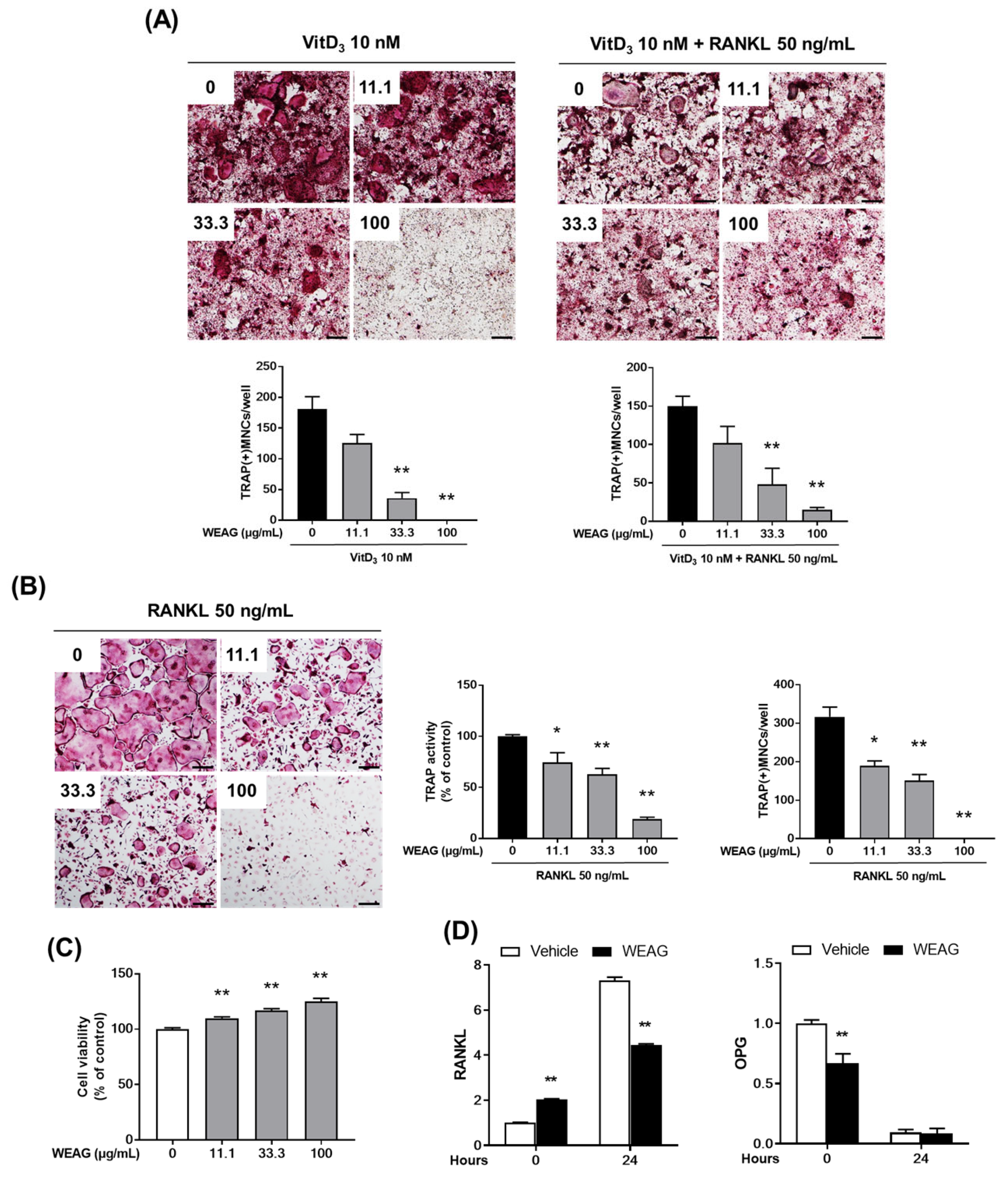 Nutrients 15 04302 g001
