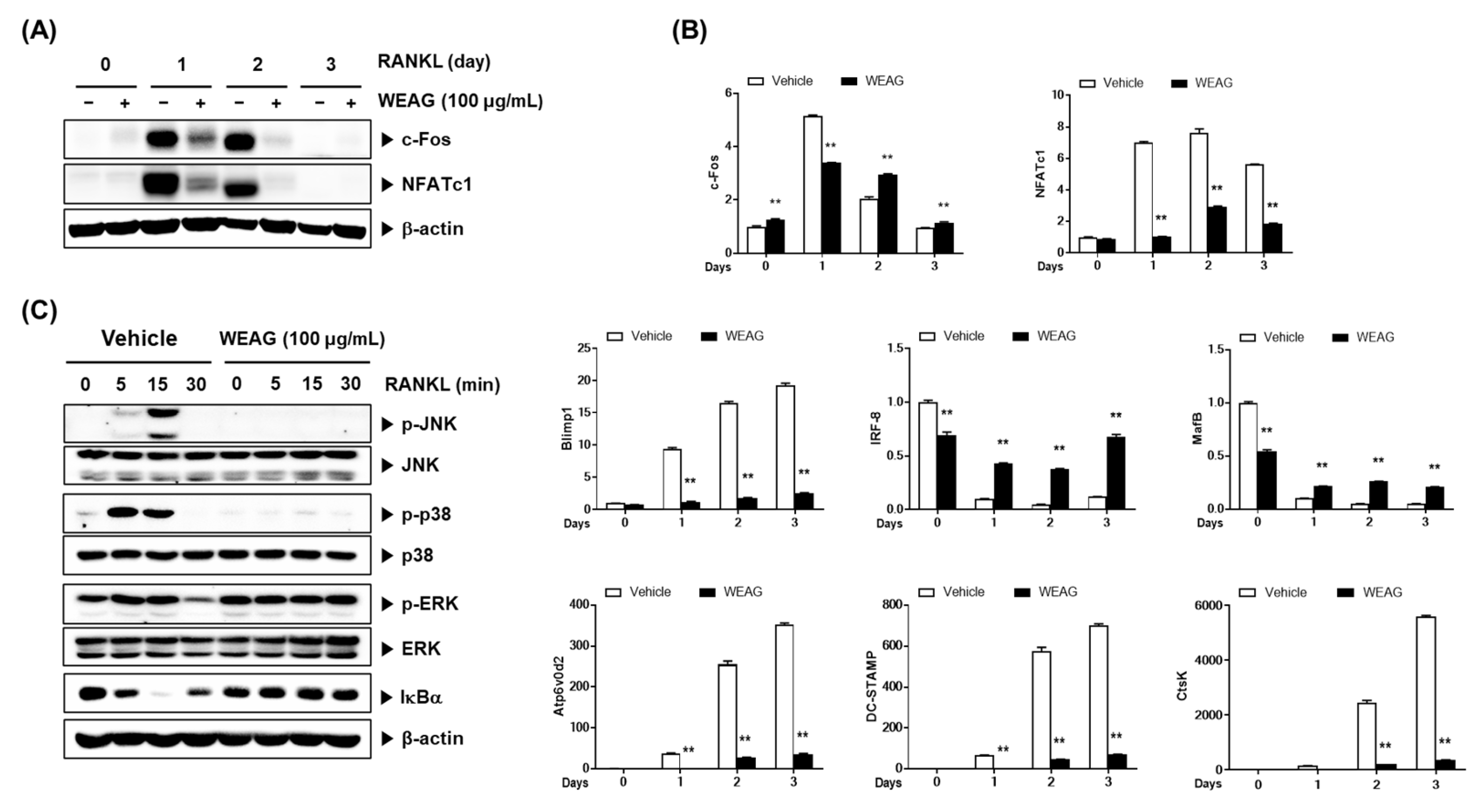 Nutrients 15 04302 g002