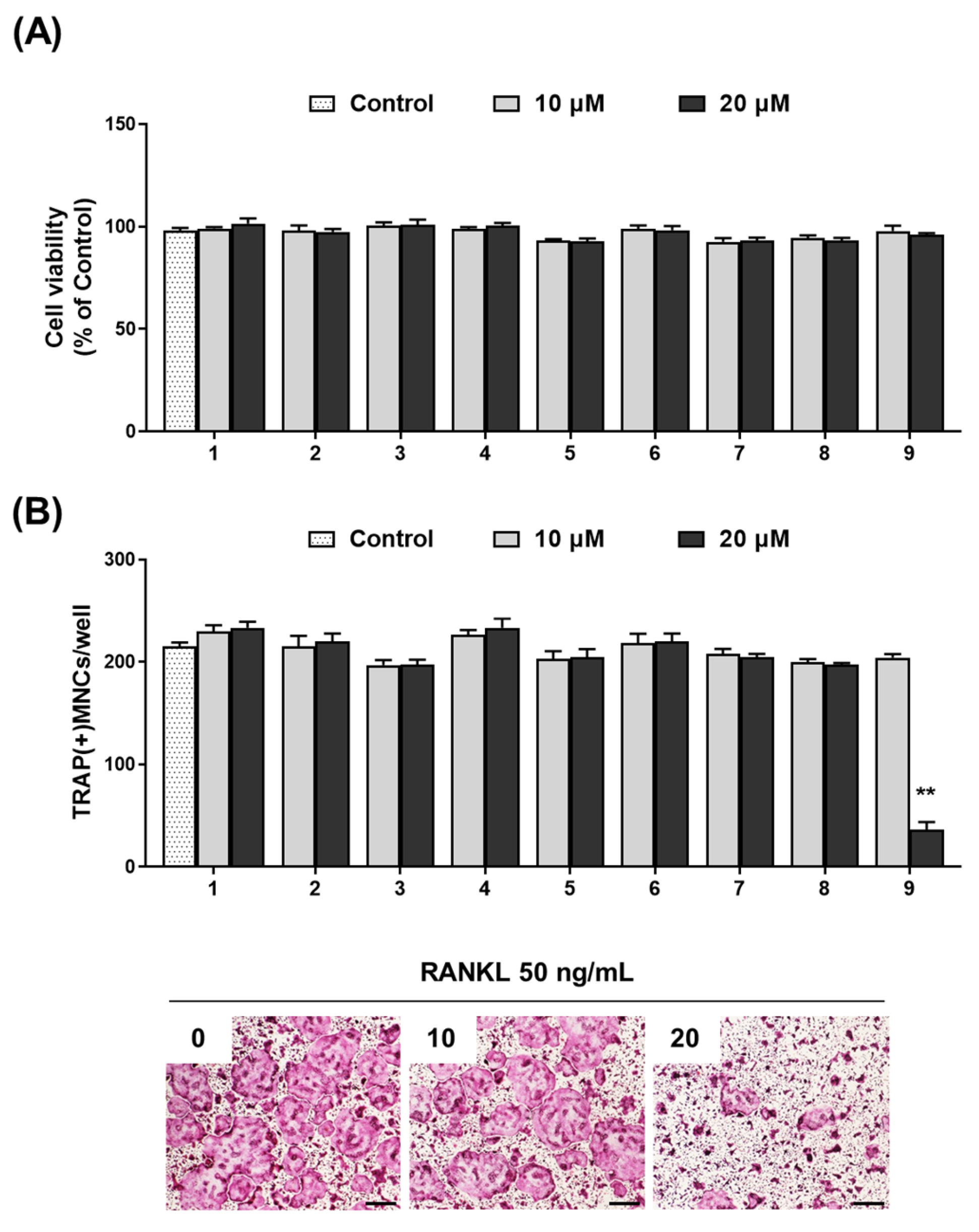 Nutrients 15 04302 g005