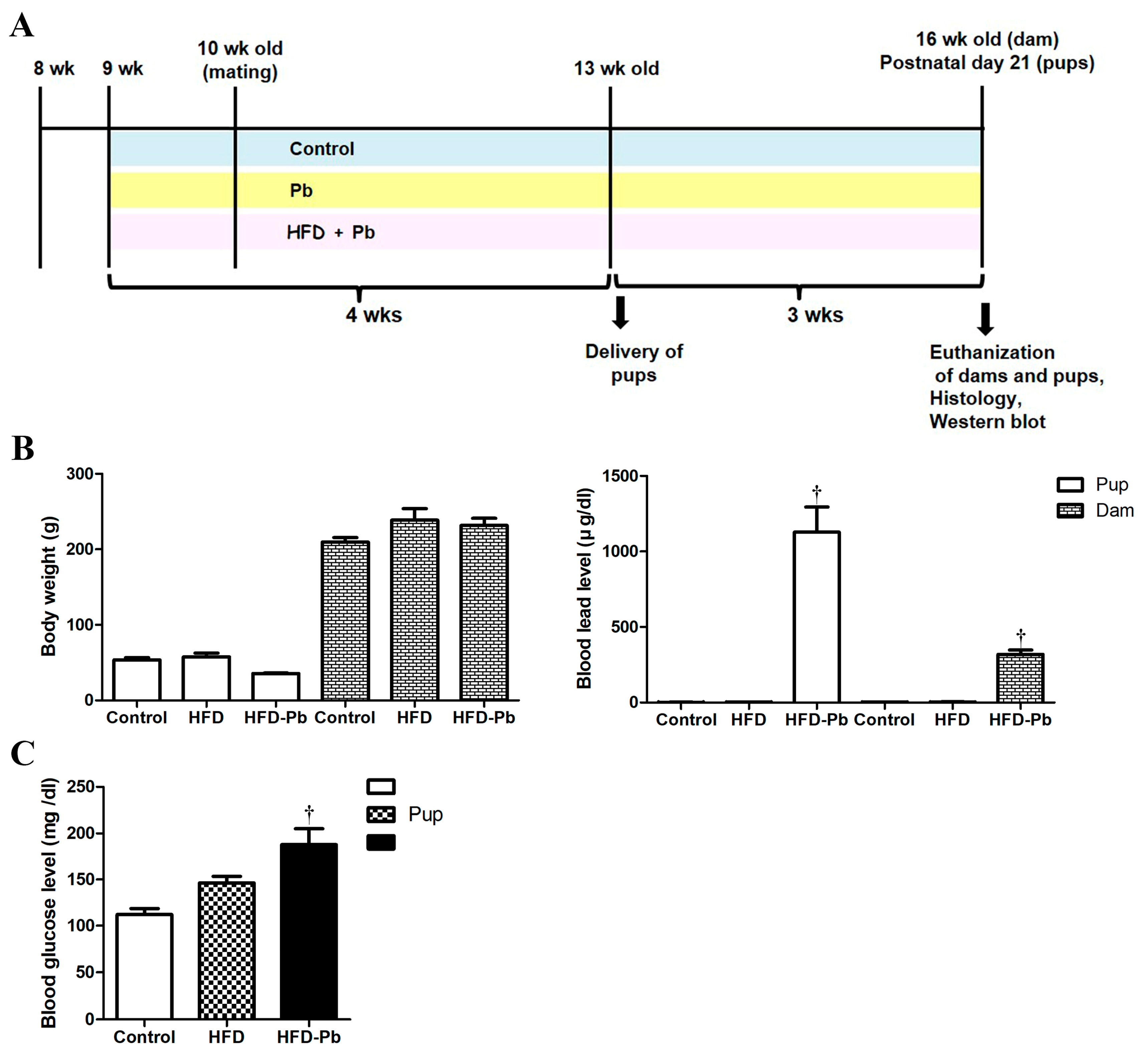 Nutrients 15 04325 g001