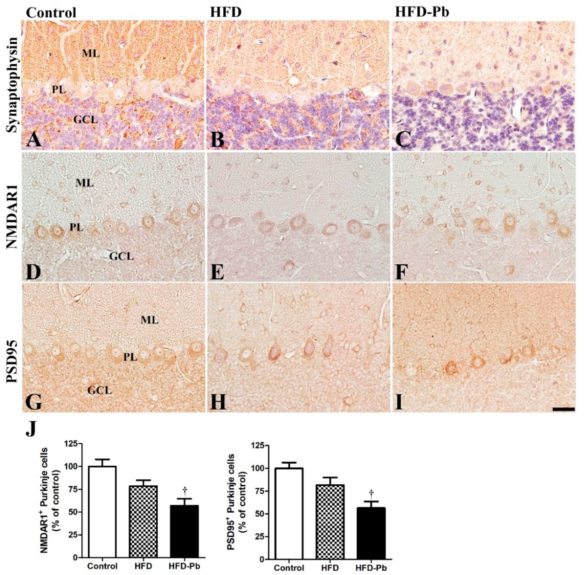 Nutrients 15 04325 g003