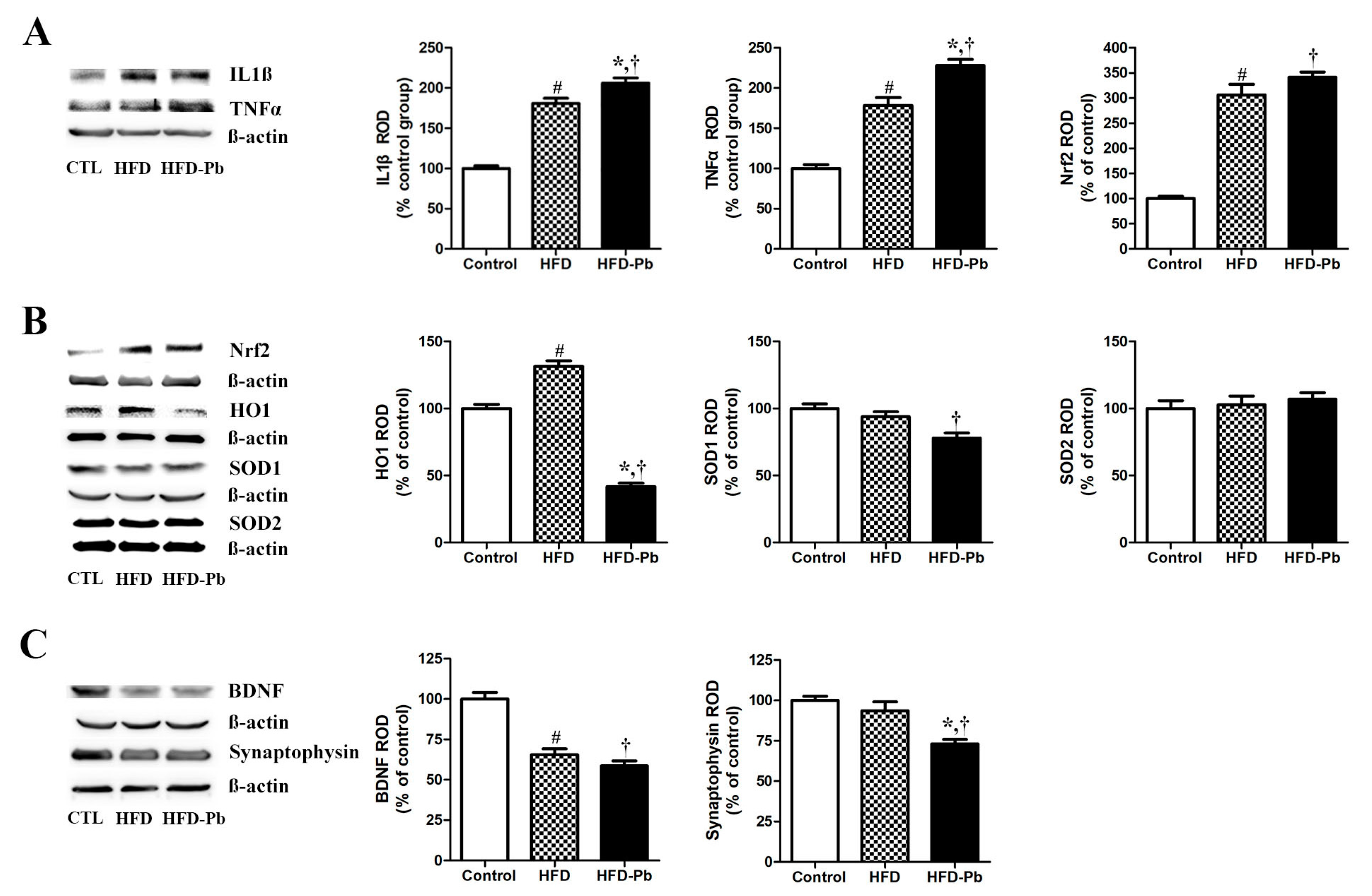 Nutrients 15 04325 g004