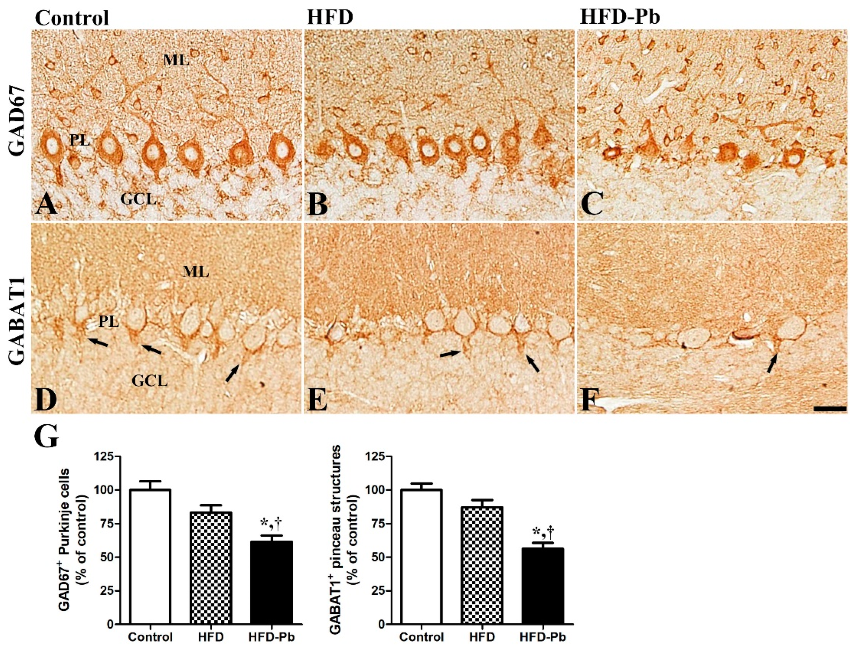 Nutrients 15 04325 g005