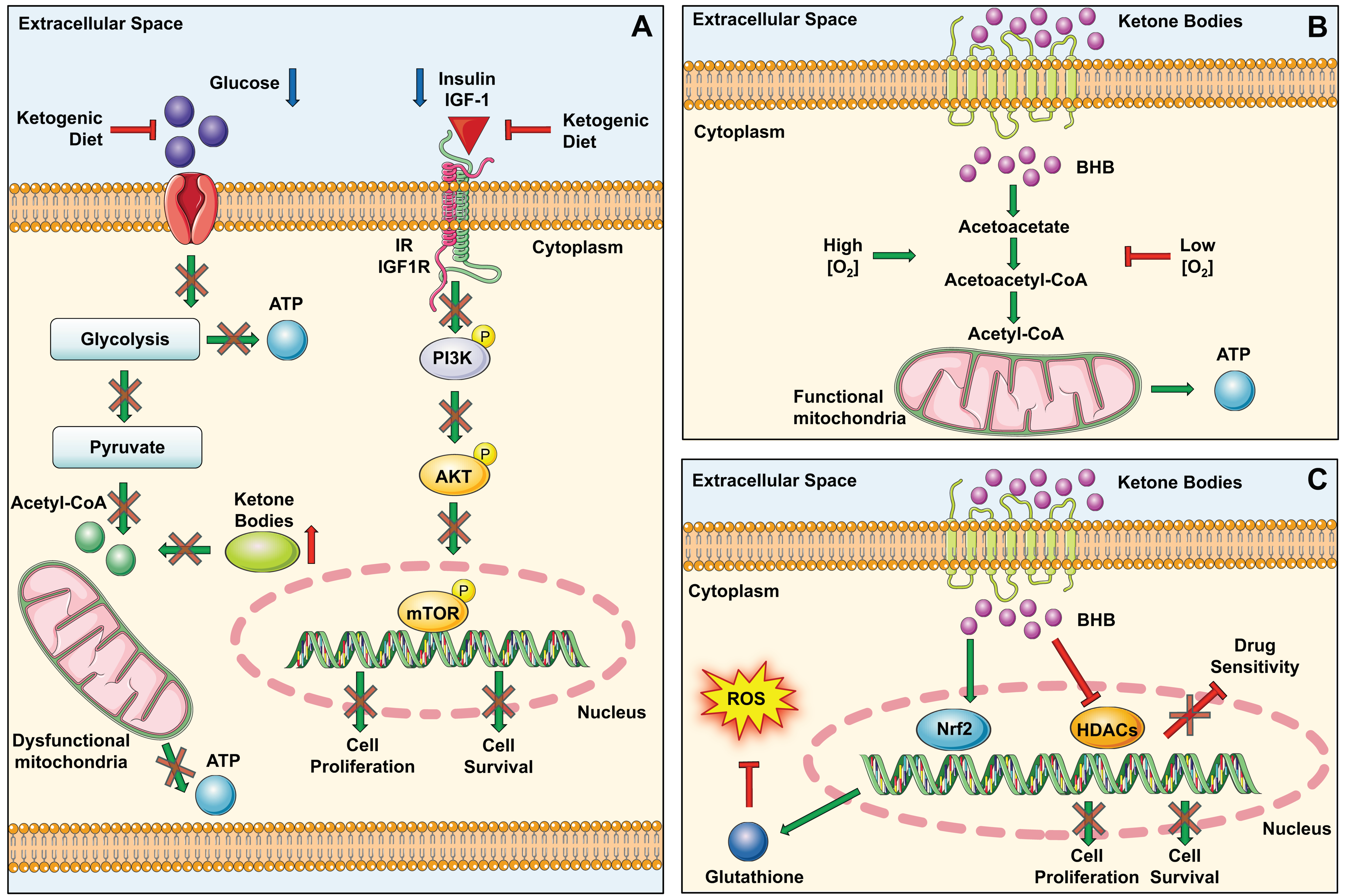Nutrients 15 04357 g003